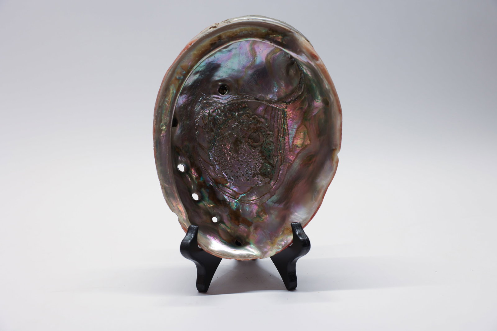 Large Iridescent Abalone Shell 8.5" x 6" (1 of 5)