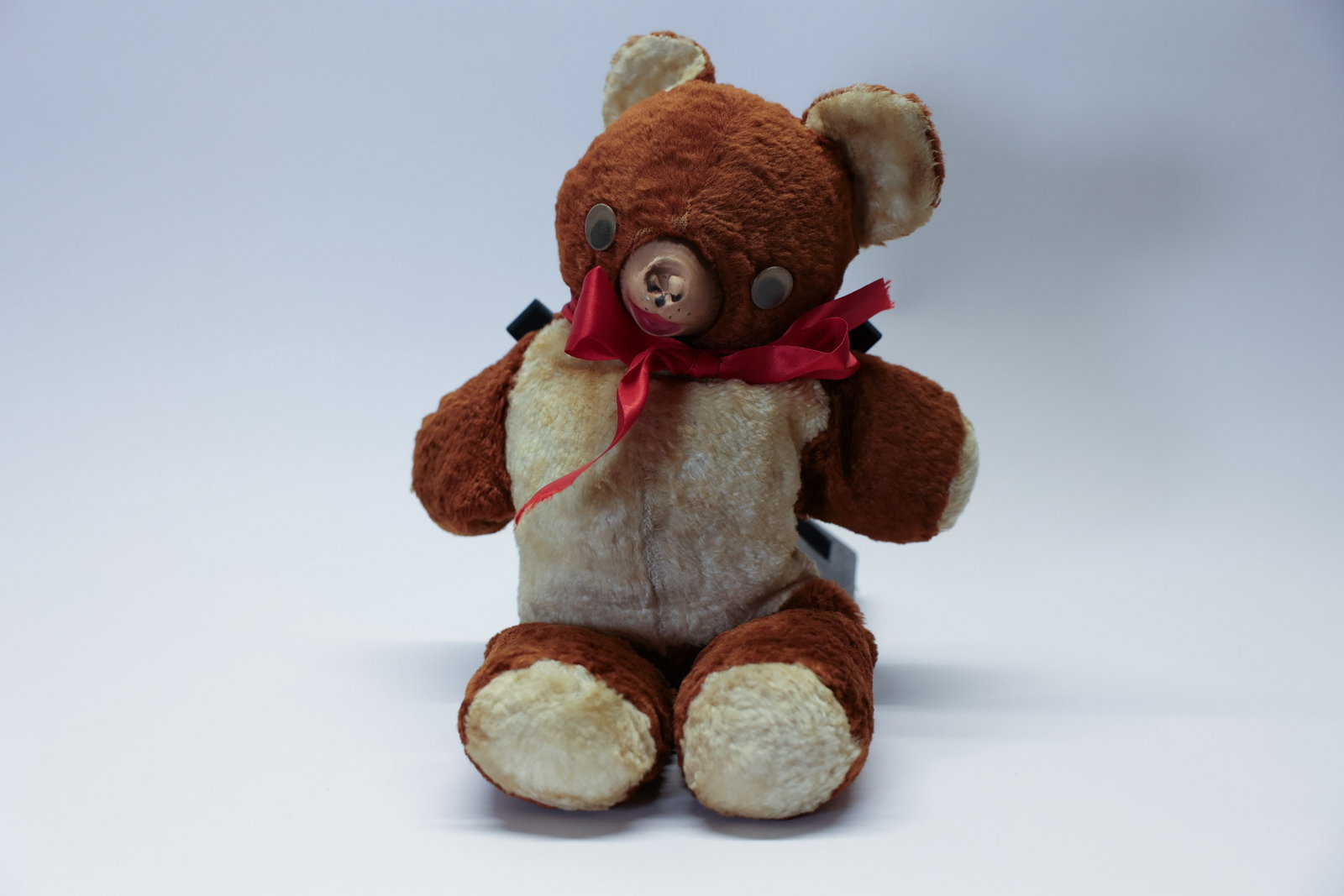 1950's Teddy Bear (1 of 4)