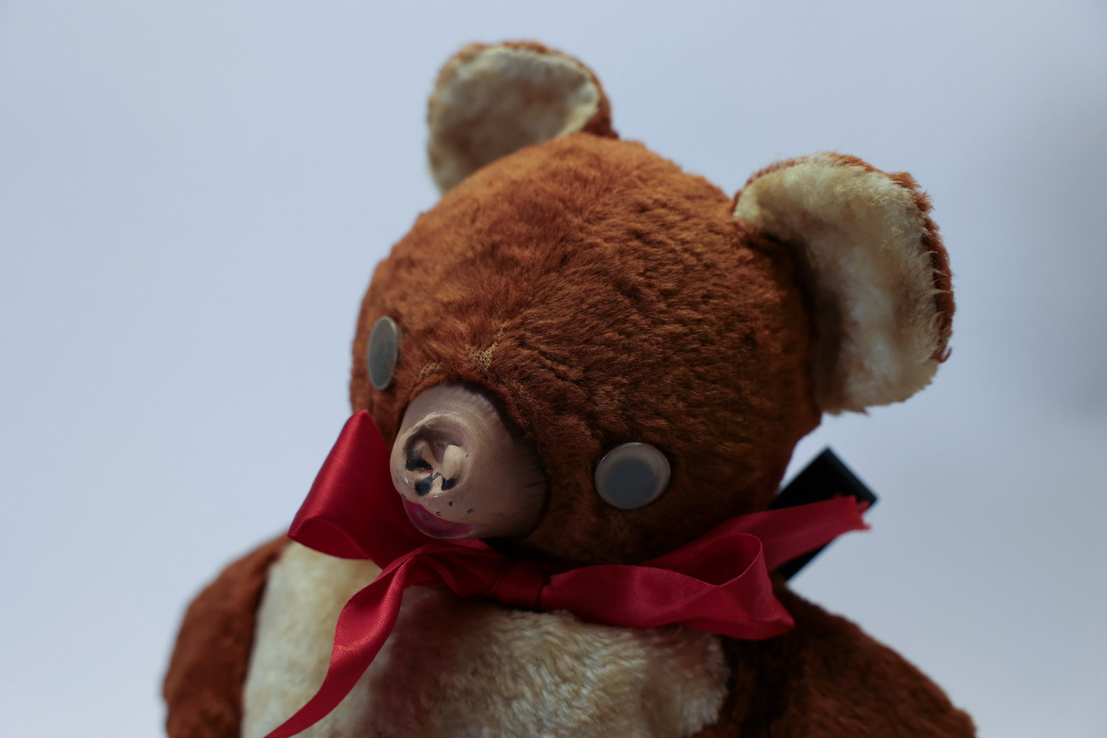 1950's Teddy Bear - 2