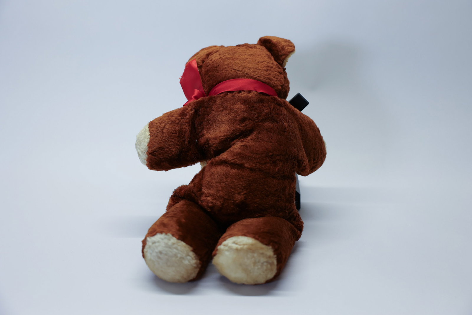 1950's Teddy Bear - 3