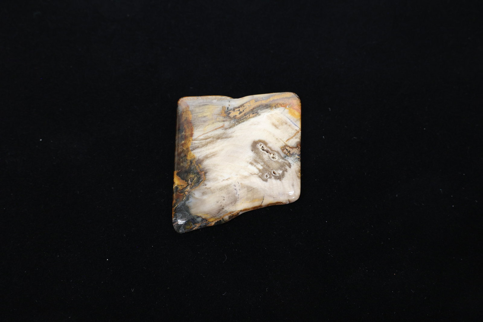 Polished Petrified Wood Lapidary Slab: A beautifully polished freeform slab of petrified wood, showing clear, ancient wood grain and growth rings alongside what appears to be a fossilized knot or branch node, complete with tiny natural cav
