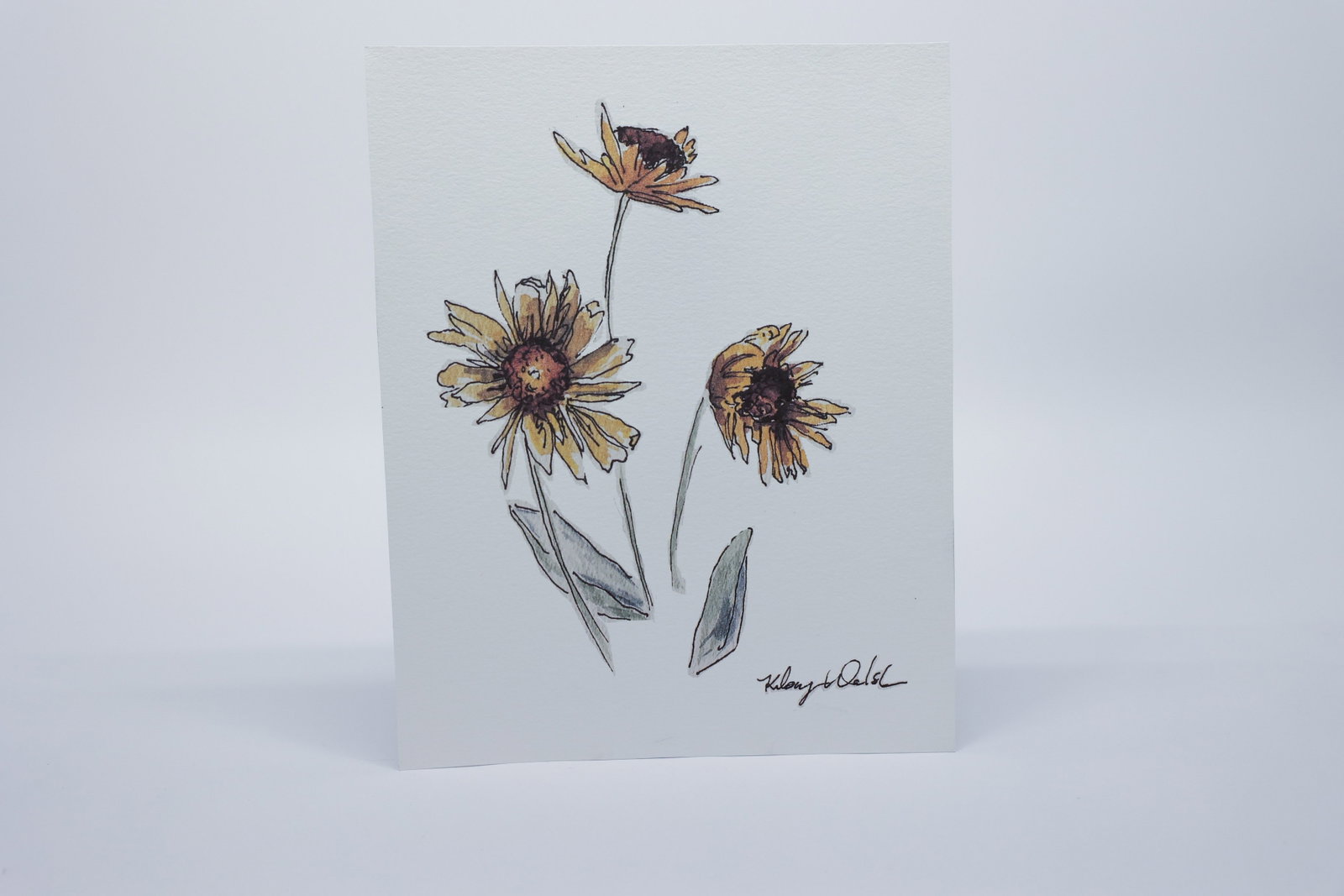 Arrowleaf Balsamroot Print: Local Missoula artist Kelsey Walsh print.Dimensions: H: 10", W: 8"