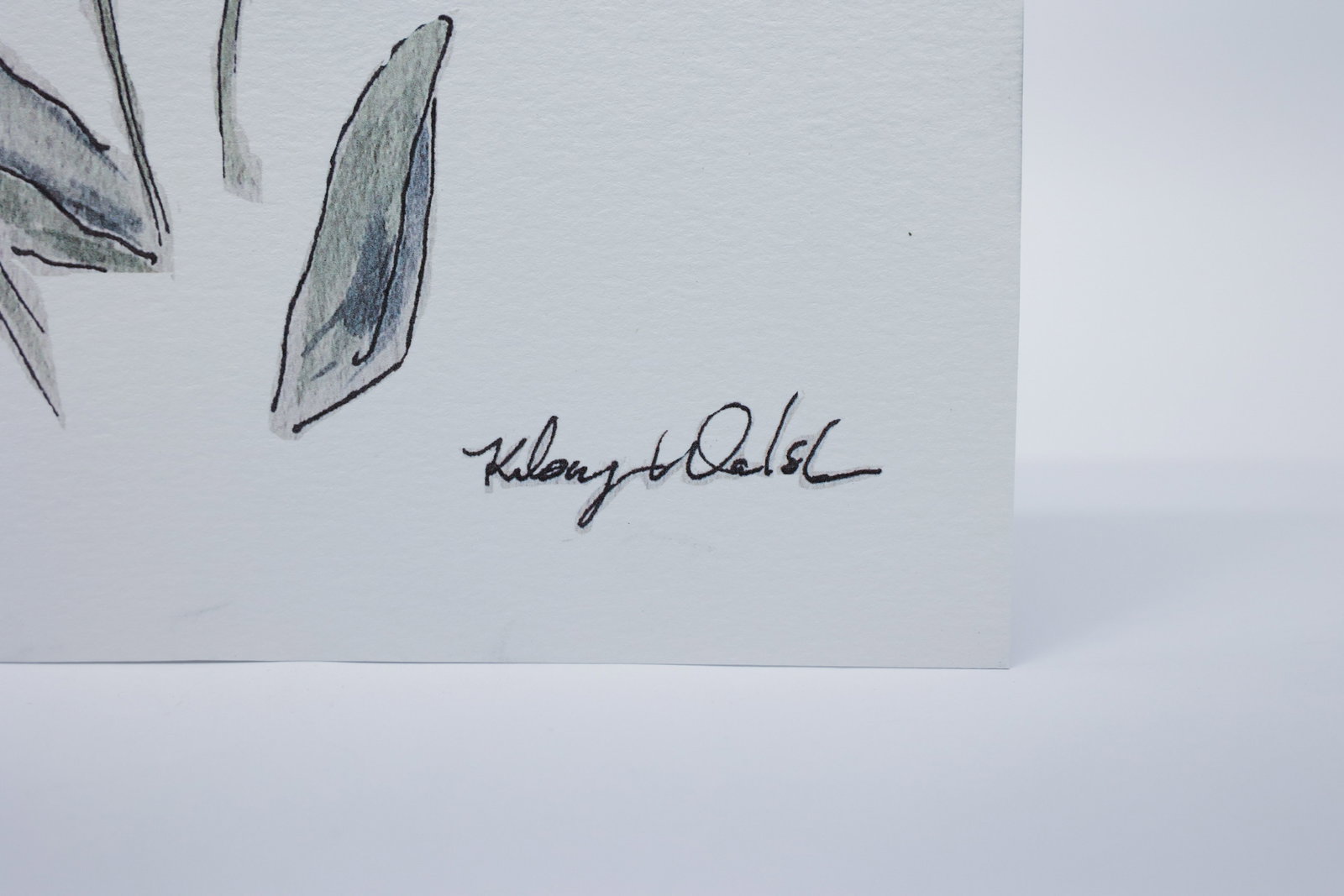 Arrowleaf Balsamroot Print - 2