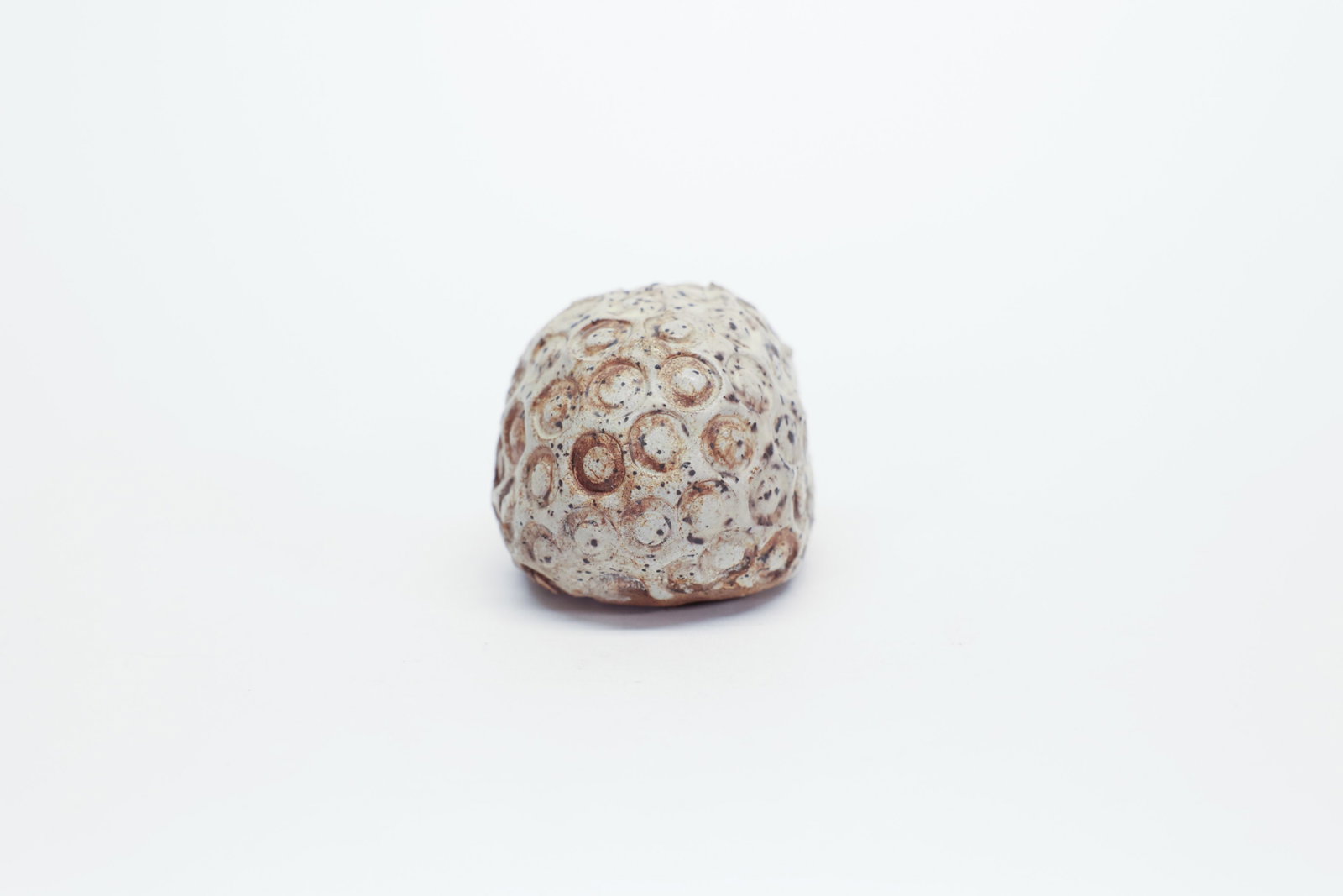 Studio Pottery Hedgehog - 2