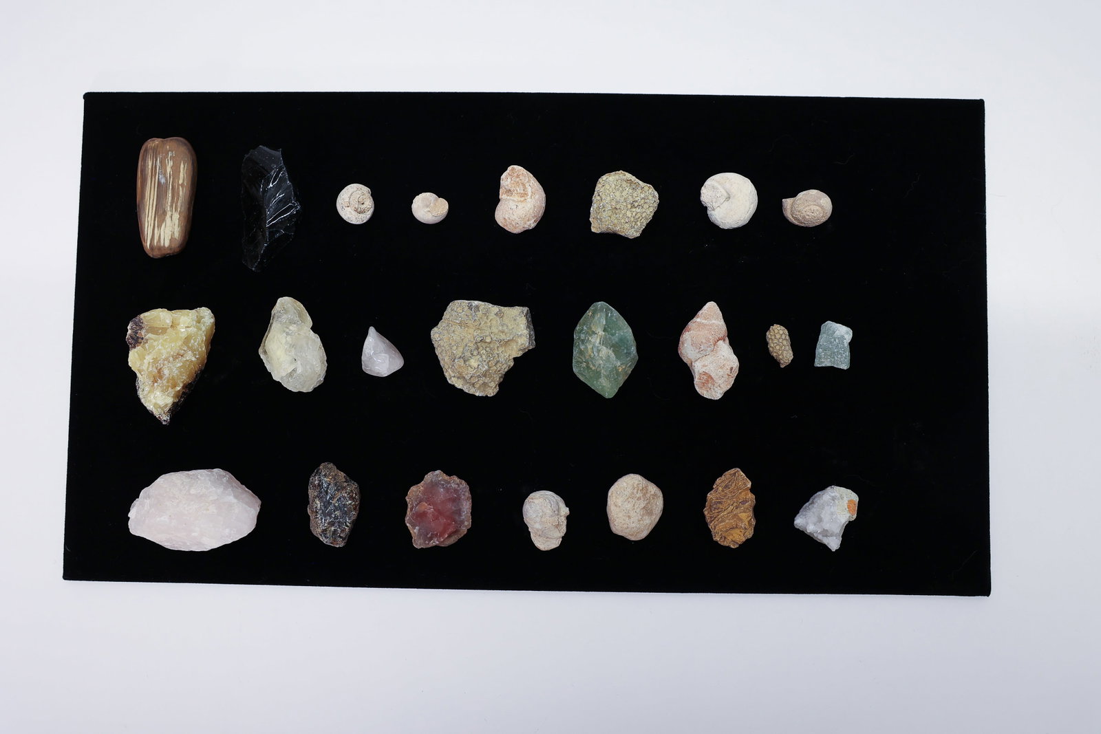 Mineral & Fossil Specimen Lot: Lot of miscellaneous mineral, and fossil specimens, including a chunk of obsidian, petrified wood, snails, quartz crystals. See photos.Dimensions: H: 3", W: 3", L: 3"