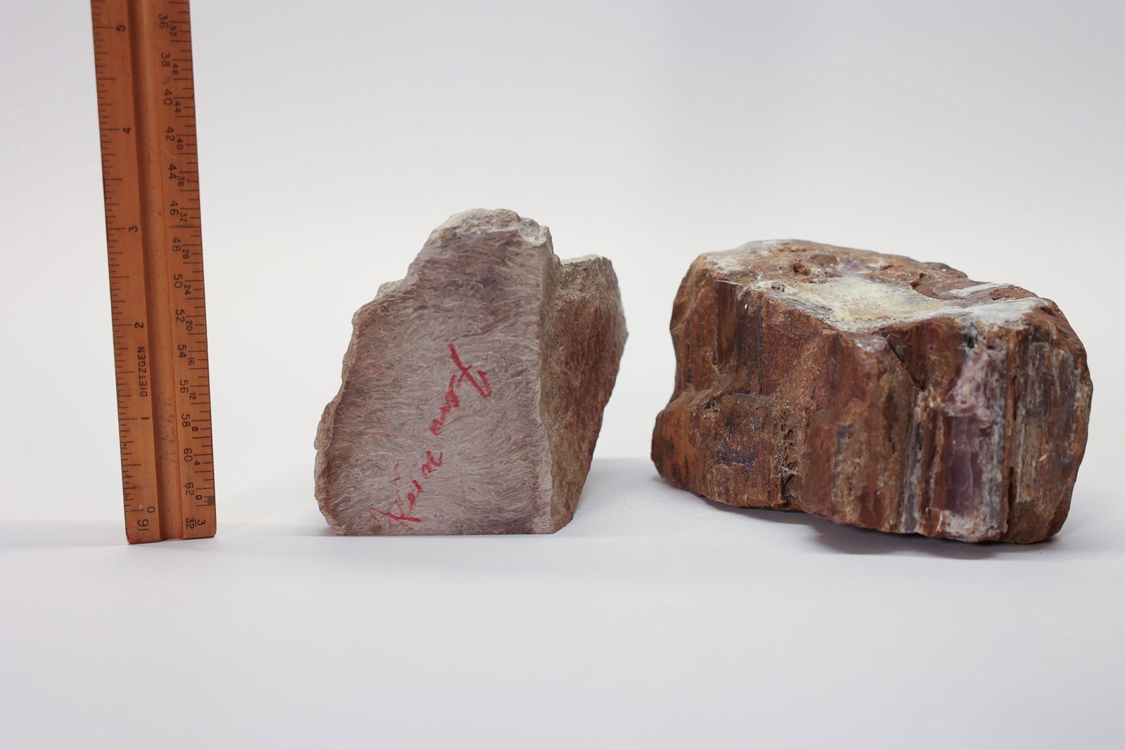 Large Petrified Wood Pieces: Two large chunks of petrified wood one might be dinosaur bone but I can’t read the writing on it. One is 4 inches long 3 1/2 inches tall 2 1/2 inches deep approximately, the other is 2 1/2 x 3 x 3.D