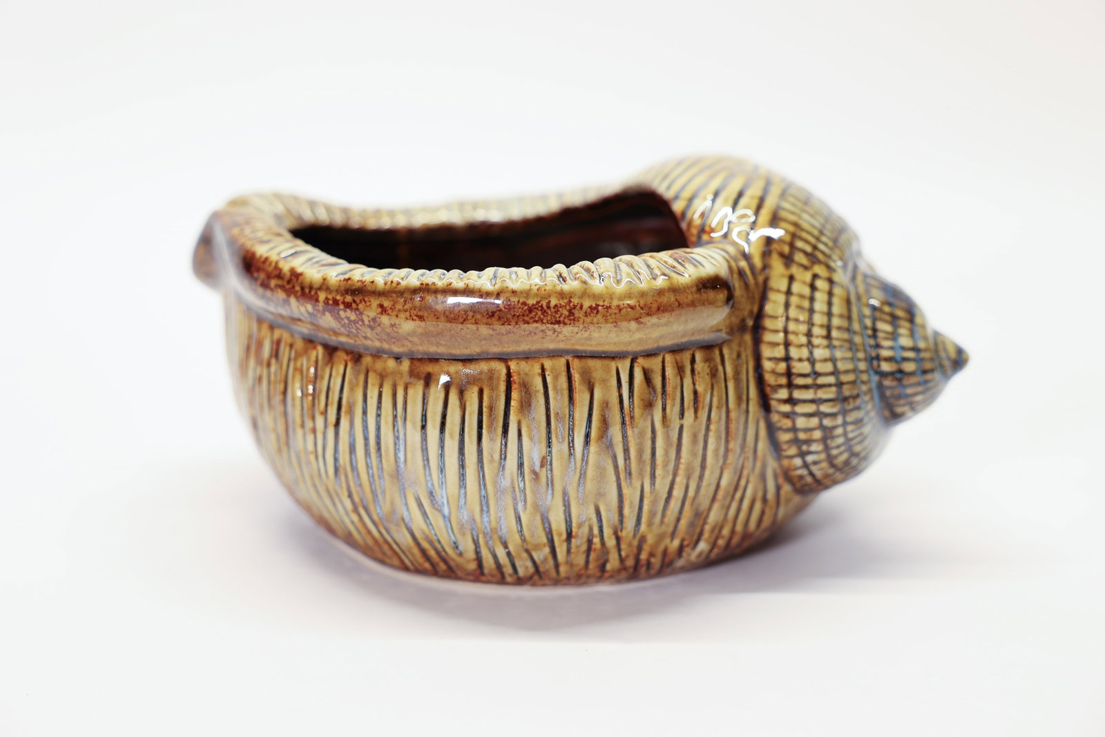 Ceramic Sea Shell Planter: Glazed ceramic planter in the shape of a seashell. Funky! 9 1/2 inches long, 3 1/2 inches tall, opening is about 4 inches across and 5 inches long.Dimensions: H: 3.5", W: 4", L: 5"
