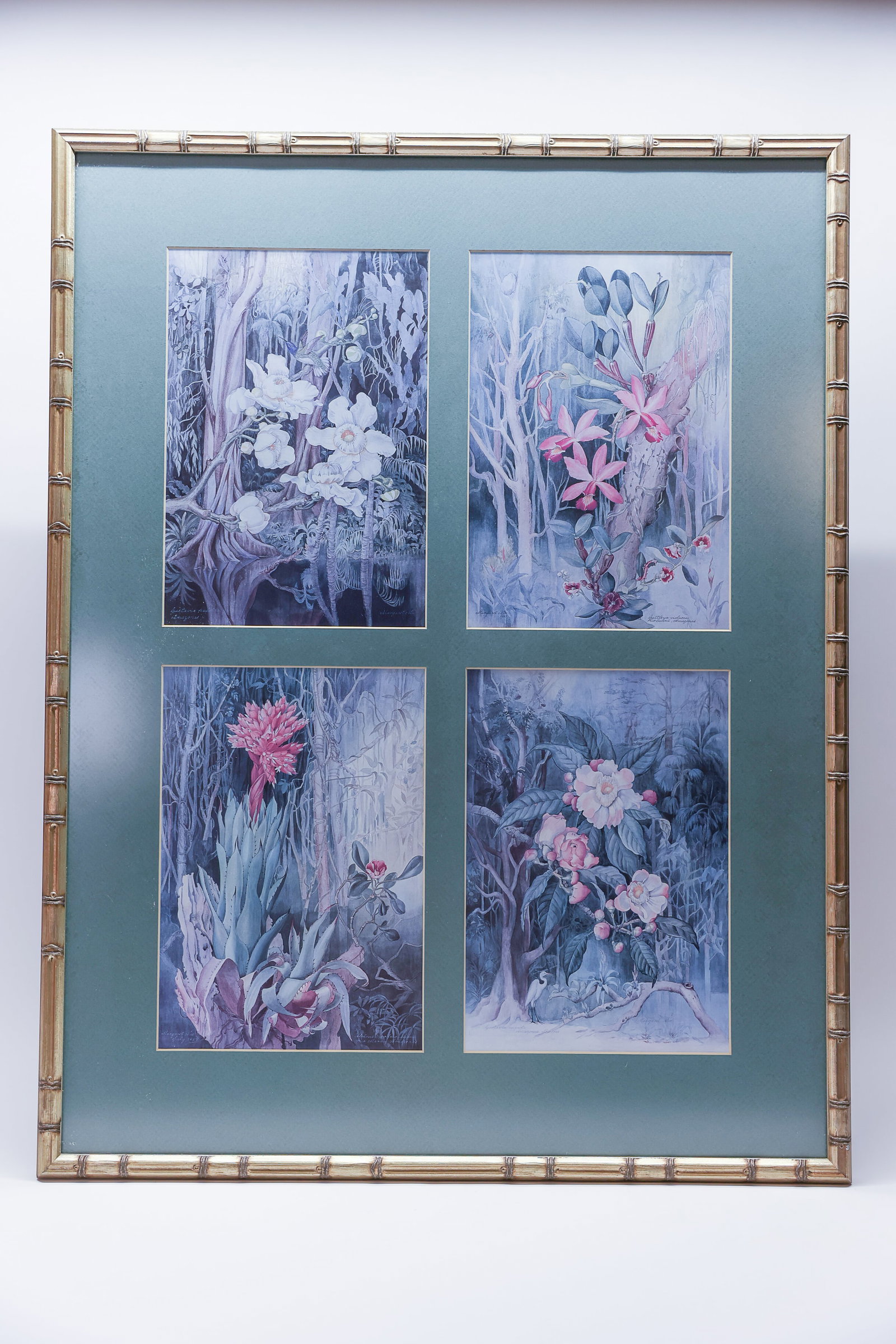 Framed Prints by Margaret Mohr: Multi print framed artwork of jungle flowers by Margaret Mohr 1987. Anti-reflective glass, bamboo frame. Good quality reproductions, unsigned. Each print measures 11 x 7 3/4 overall frame size 31 1/2