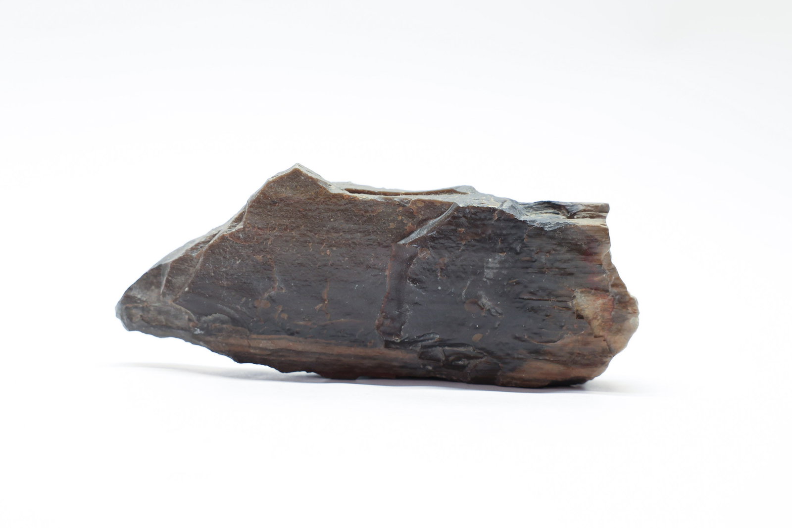 Large Petrified Wood Specimen (1 of 5)