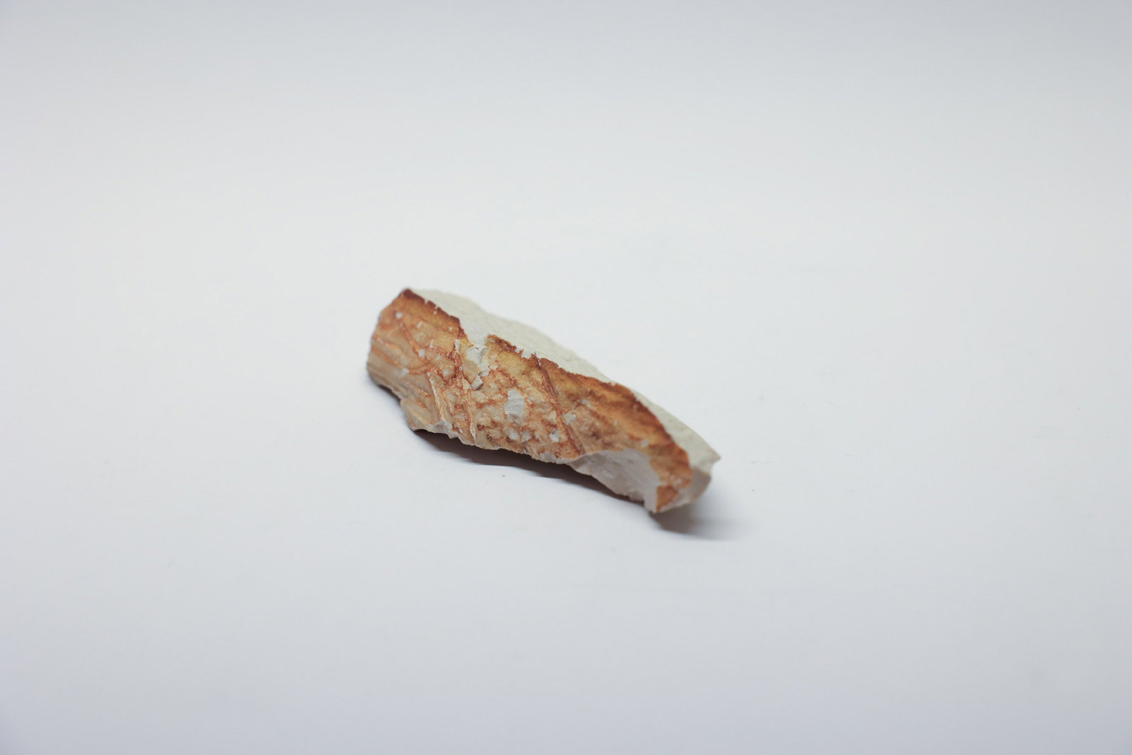 Petrified Wood: 6 1/2" long.Dimensions: H: 2", W: 6.5", L: 2"