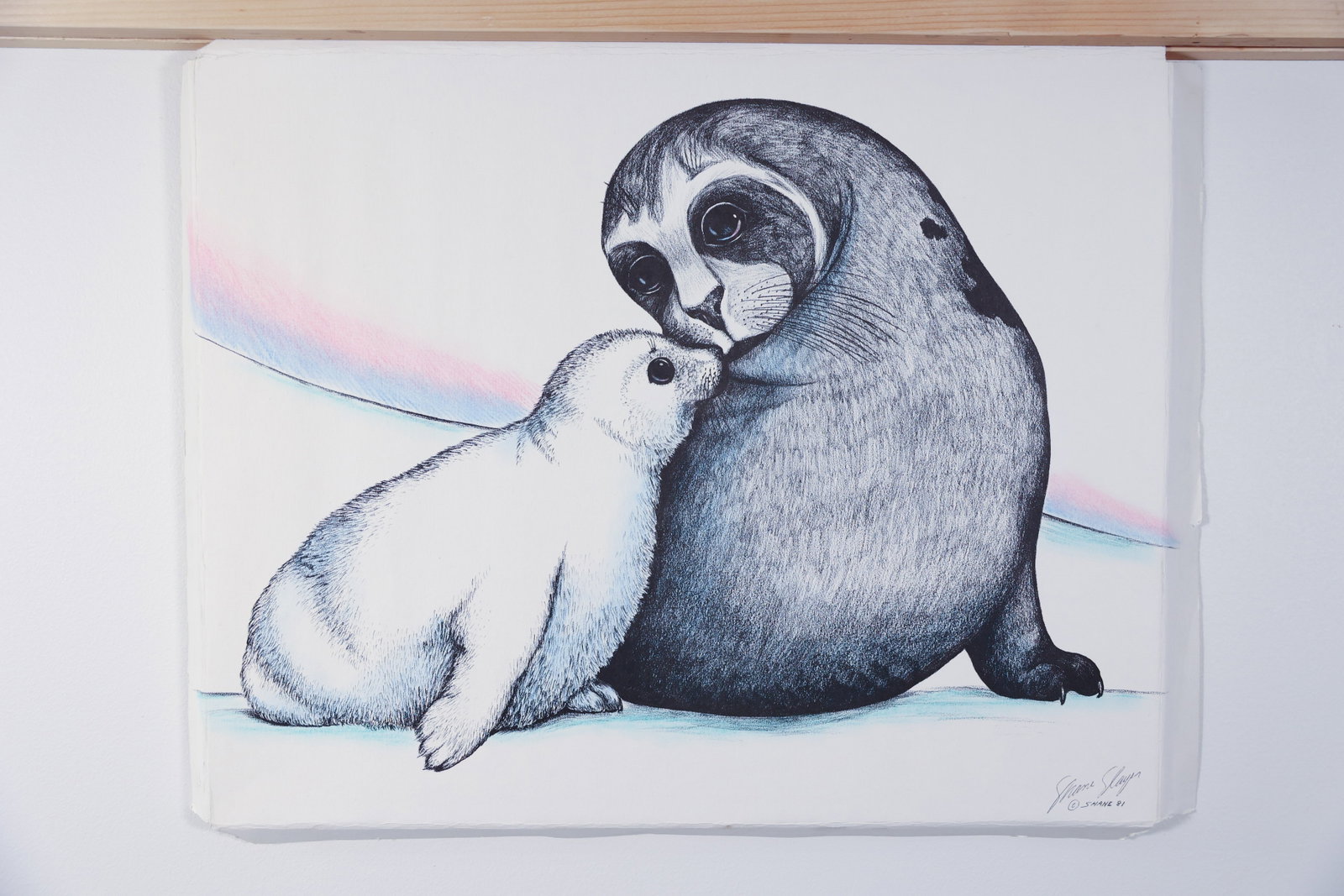 Shane Slayer Seal & Pup Ink Drawing Print, 1981: Pen-and-ink illustration print with pastel/colored pencil shading on deckle-edge paper. Depicts an adult seal nuzzling a white-coated pup on an ice shelf, with a soft pink-and-blue sky band across the