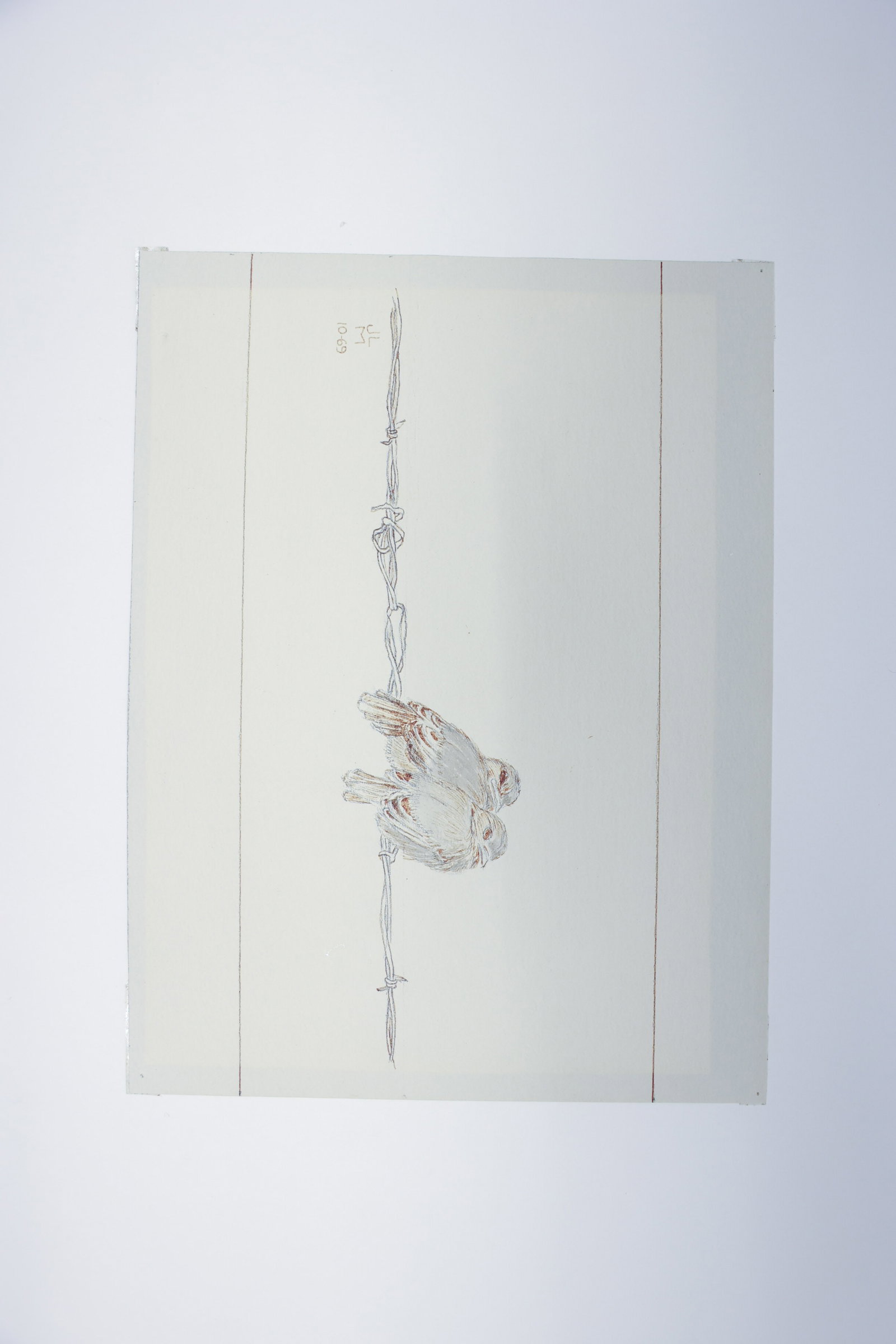 Sparrow on Barbed Wire Watercolor Sketch, 1969 (1 of 3)