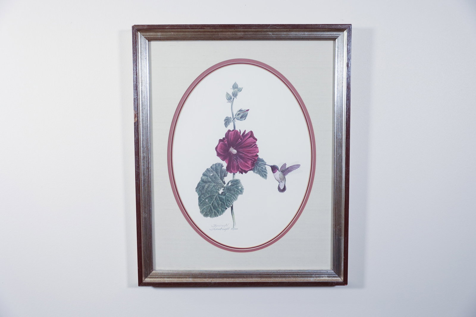 Joe Thornbrugh Signed Print, Hummingbird: Limited edition print (31/100) depicting a hummingbird in flight feeding from a magenta hollyhock bloom, rendered in detailed watercolor style. Signed in pencil and numbered "31/100" lower margin, by 