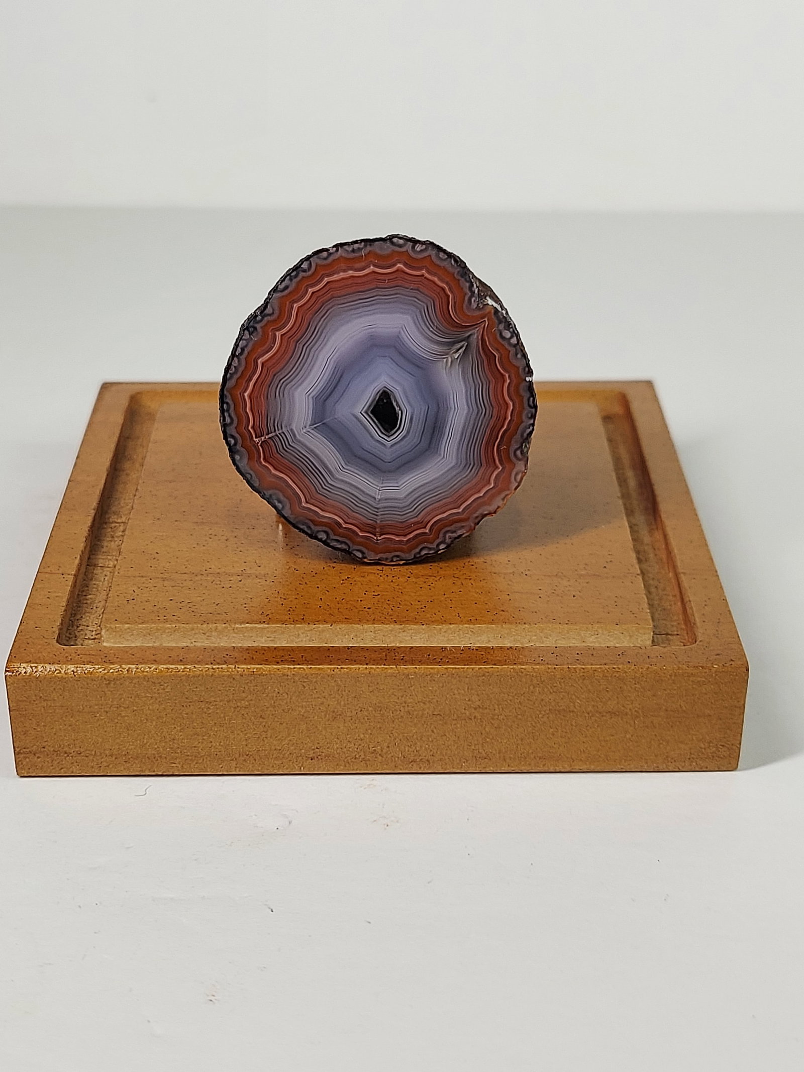 Choyamito Agate: Choyamito Agate Nodule – Face Polished This natural Choyamito agate nodule features a beautifully face-polished surface that showcases striking concentric banding in shades of lavender-gray, white,