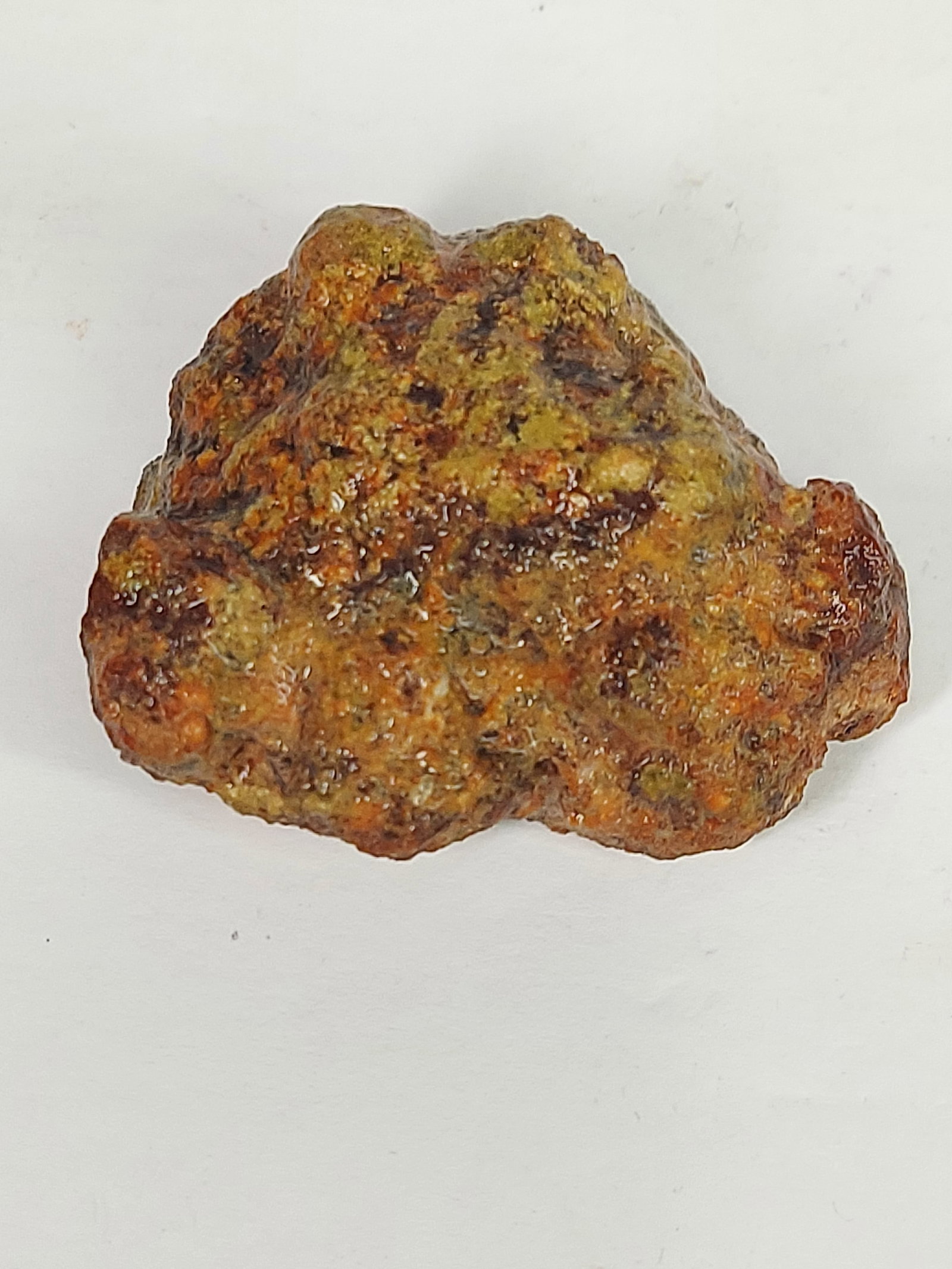 Laguna Agate - 10