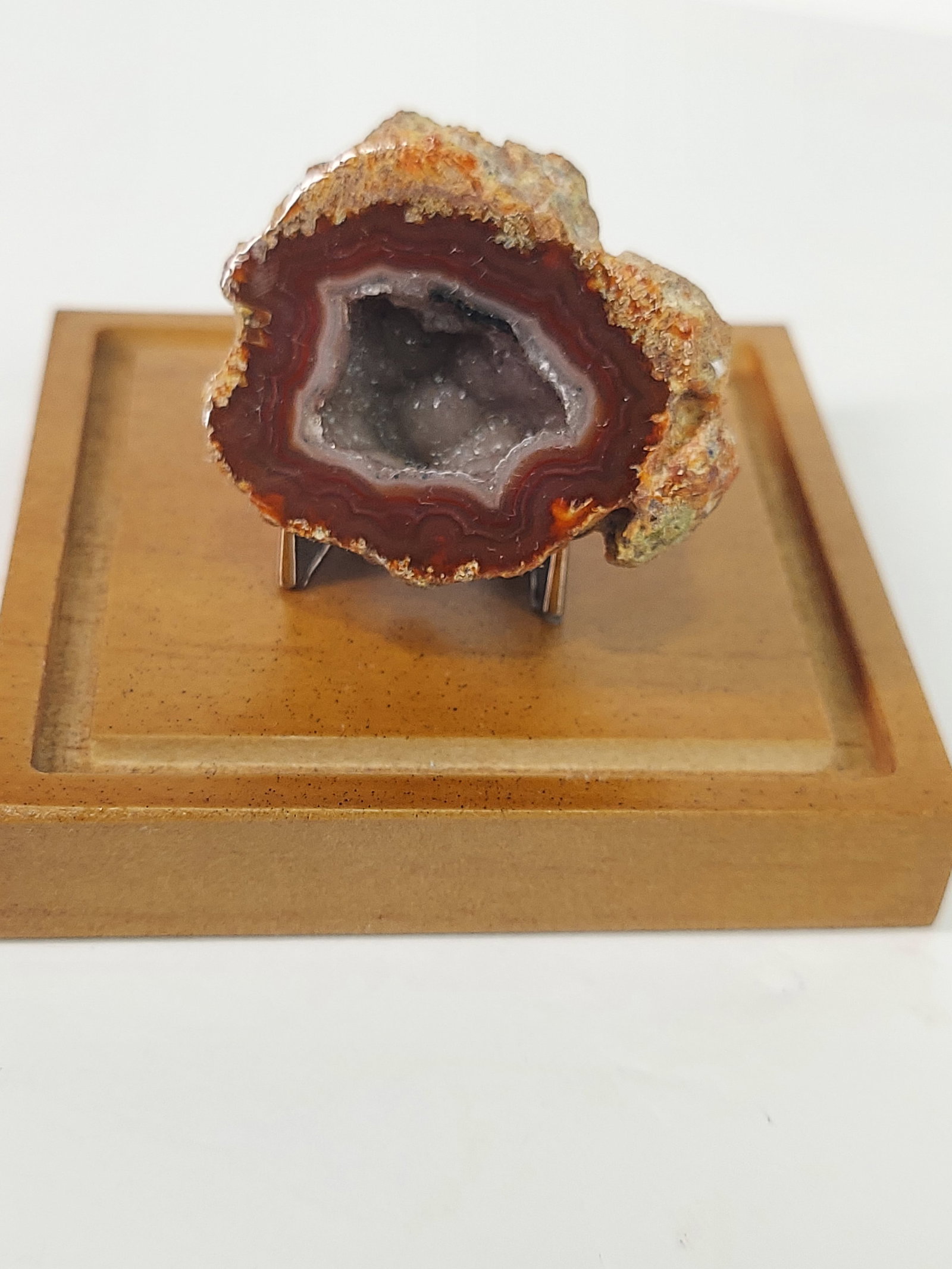 Laguna Agate: Laguna Agate – Face Polished with Crystal Cave, Druzy & Botryoidal Formation This natural Laguna agate features a beautifully face-polished surface showcasing rich reddish-brown, cream, and