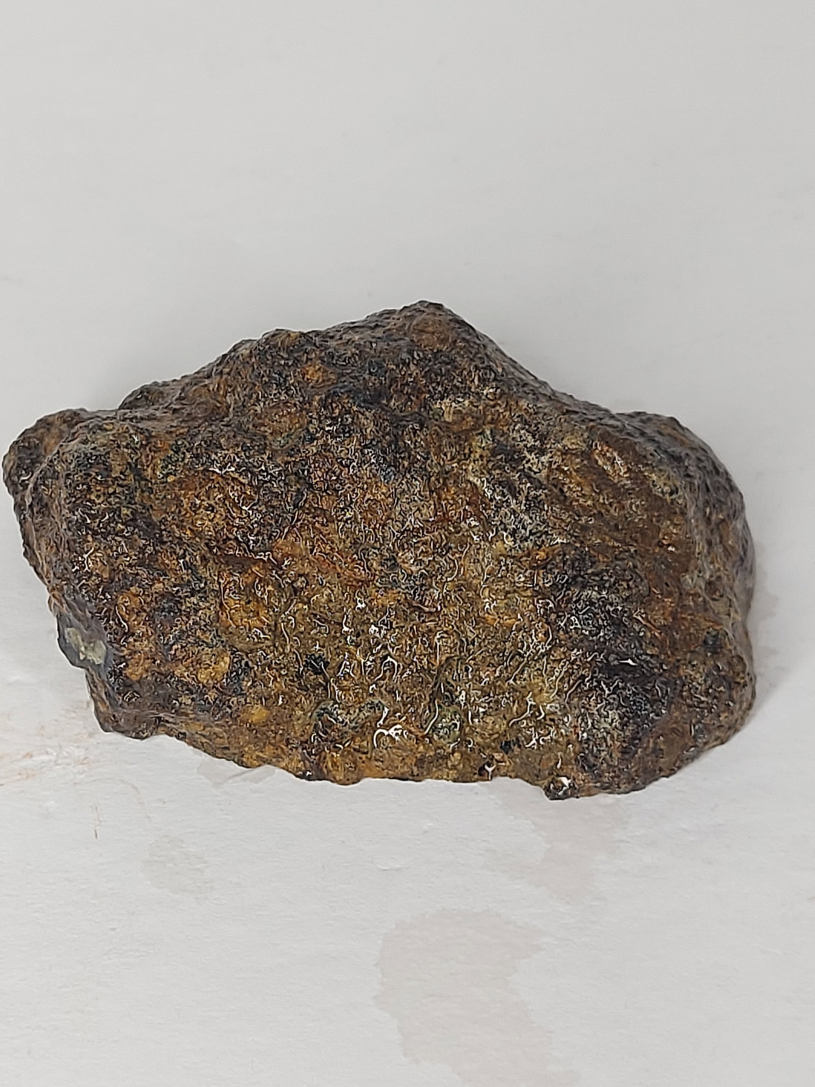 Laguna Agate - 6