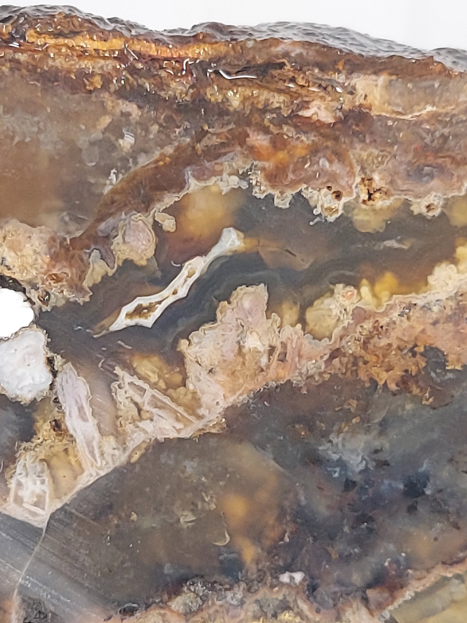 Banded Plume/Moss Agate - 11
