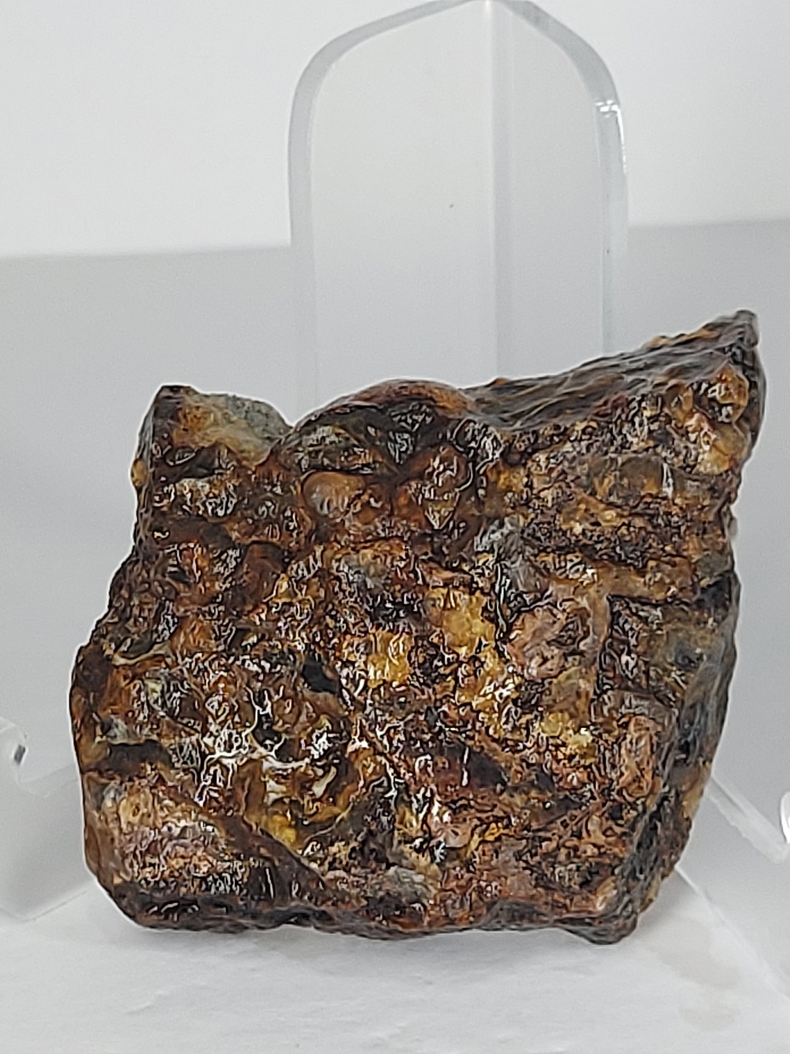 Banded Plume/Moss Agate - 13