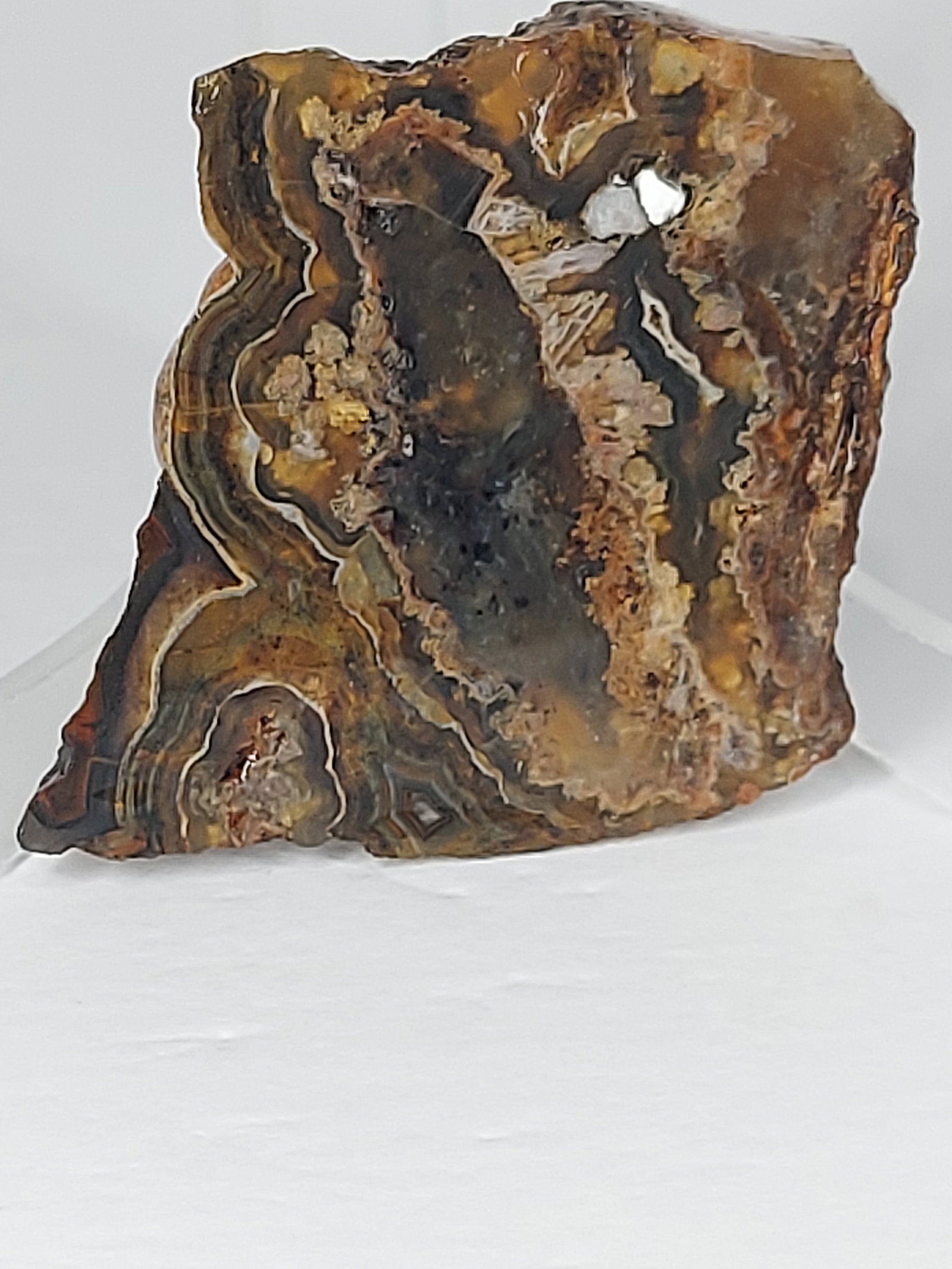 Banded Plume/Moss Agate: Banded Plume/Moss Agate – Natural Unpolished Chunk This natural banded plume/moss agate features earthy shades of gray, brown, cream, and tan with subtle banding and intricate plume and moss-like
