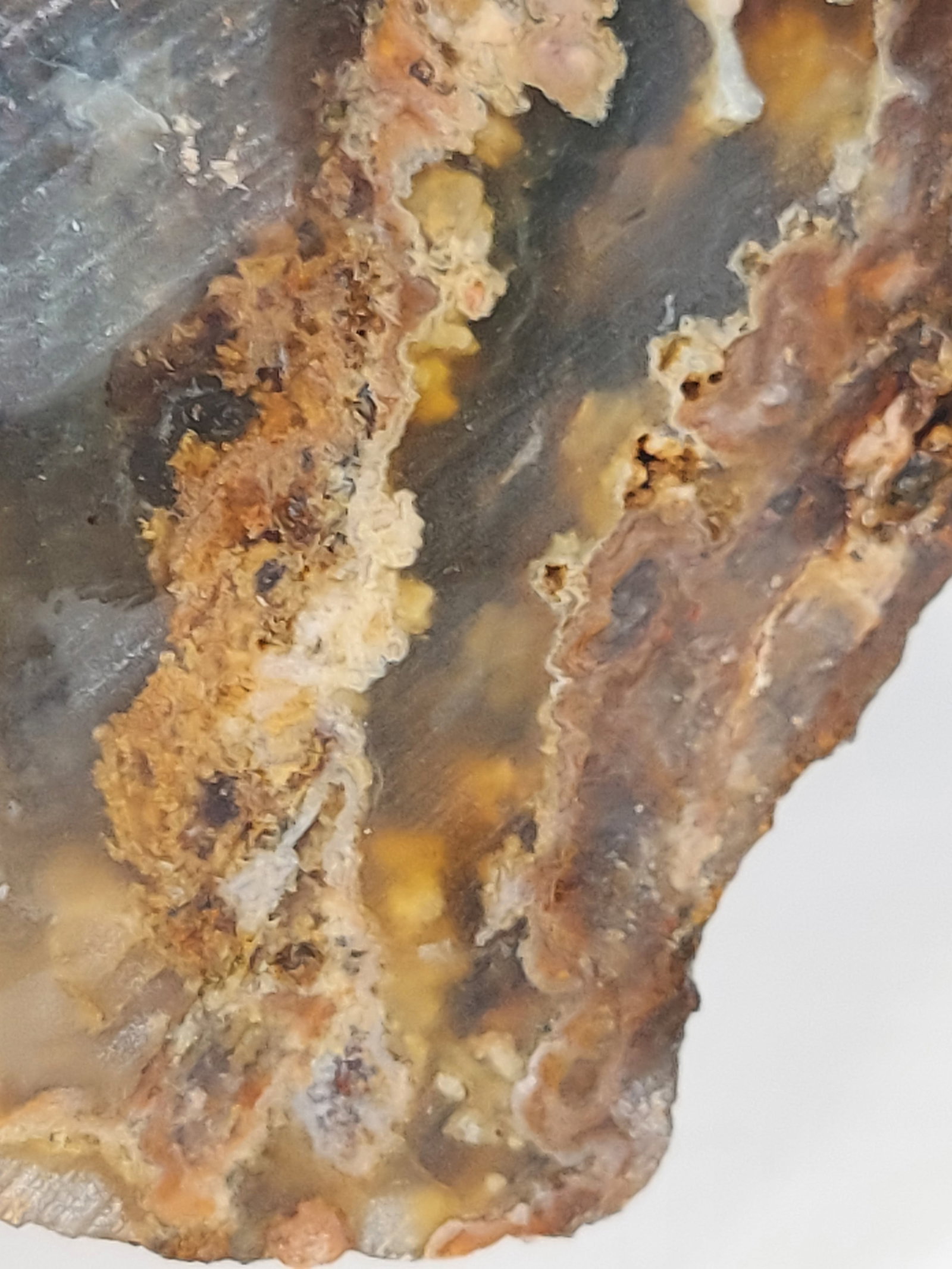 Banded Plume/Moss Agate - 2
