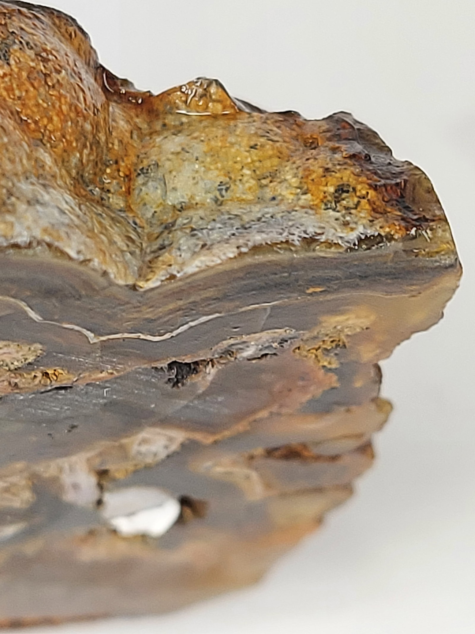 Banded Plume/Moss Agate - 6