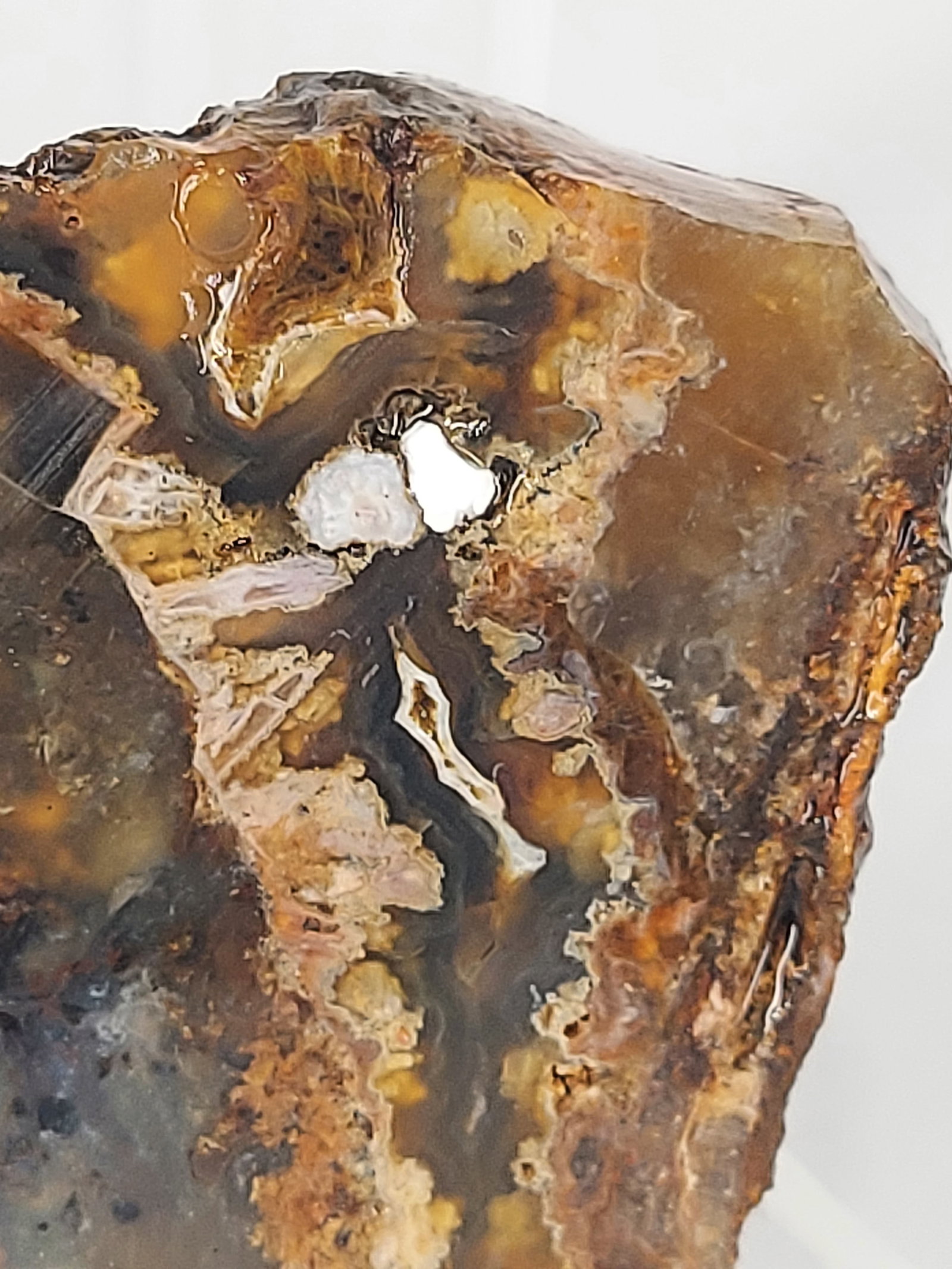 Banded Plume/Moss Agate - 9