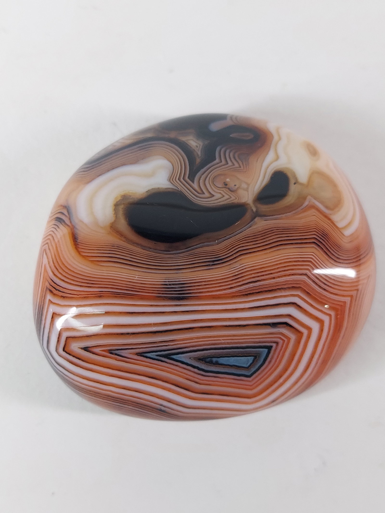 Banded Agate: Polished Banded Agate Chunk/Nodule This polished banded agate features intricate natural banding in striking shades of black, cream, tan, brown, and soft caramel. Its flowing concentric patterns and
