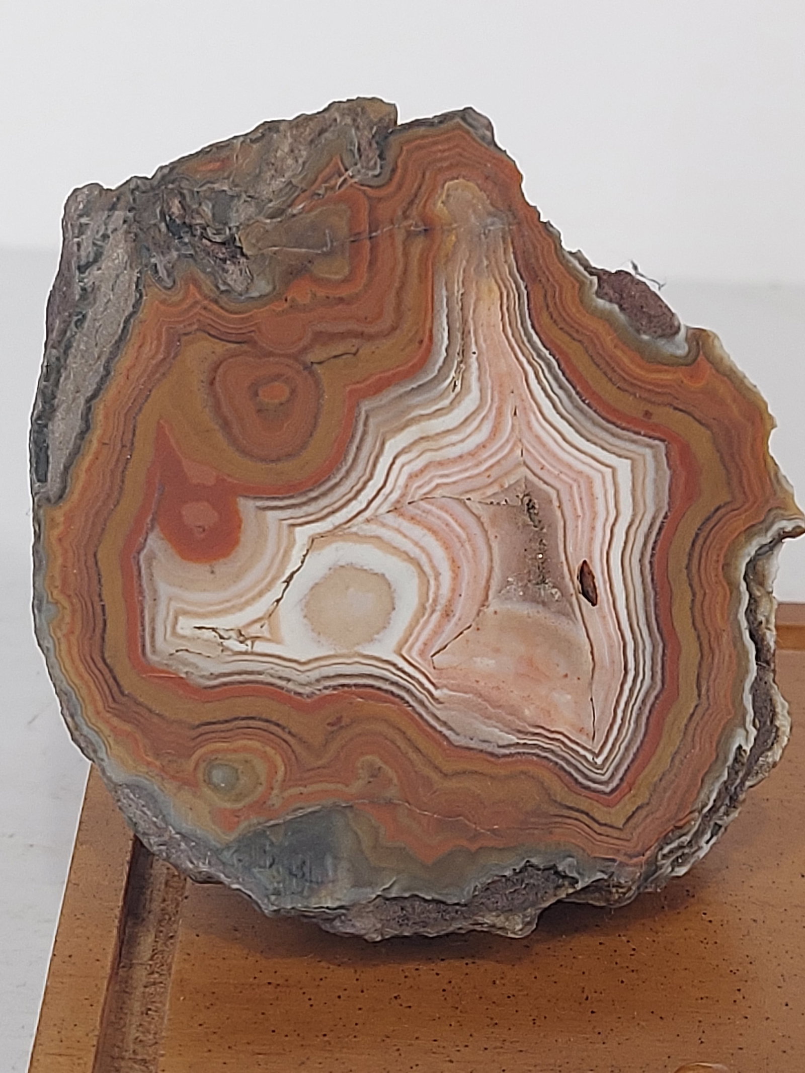 Trihead Banded Agate - 2