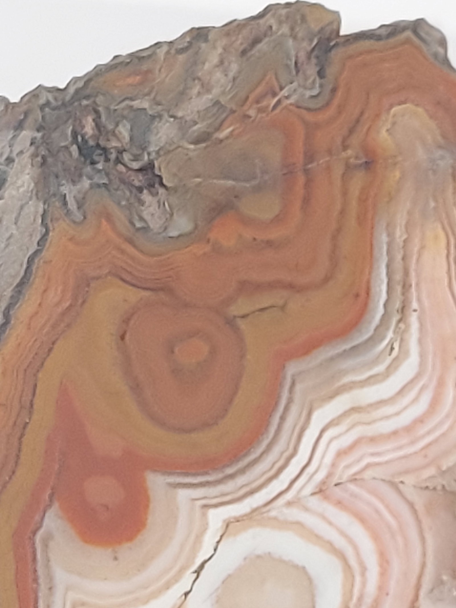 Trihead Banded Agate - 4
