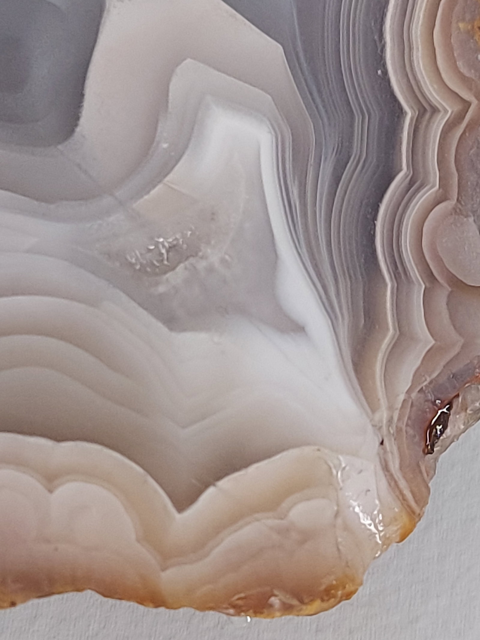 Laguna Agate - 7