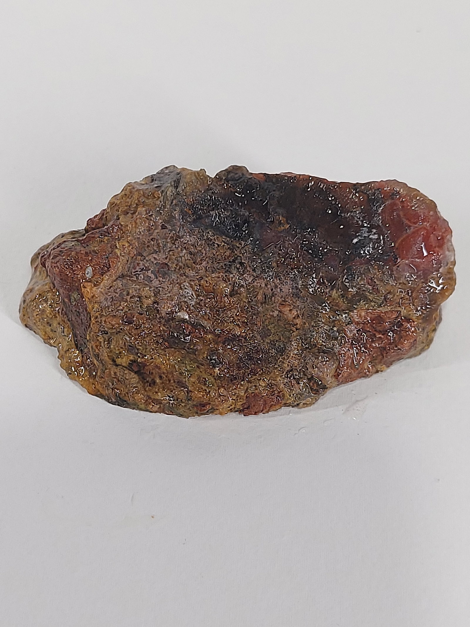 Laguna Agate - 7