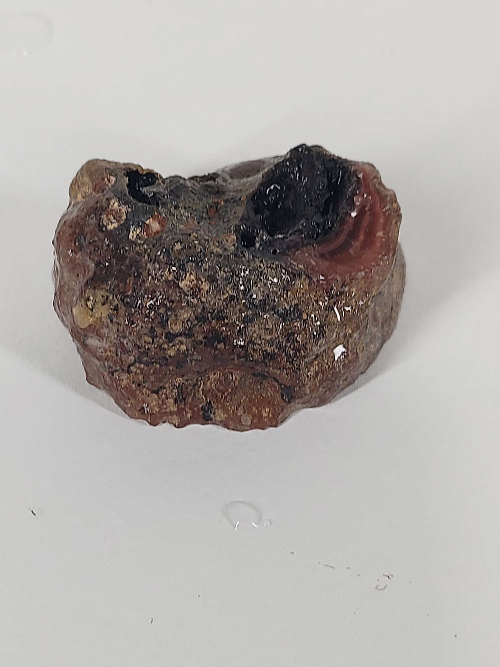 Laguna Agate - 8