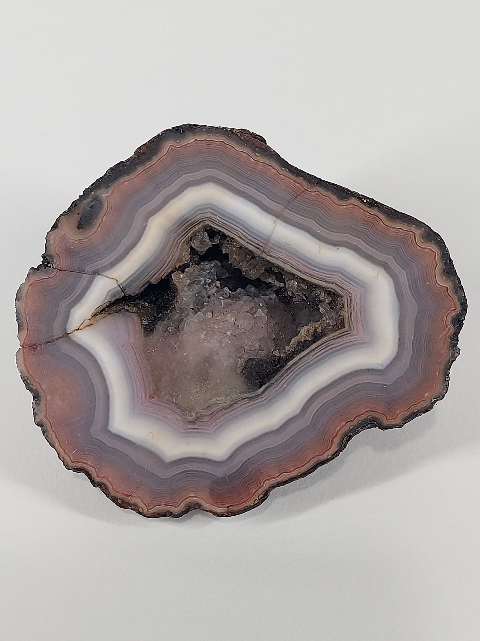 Coyamito: Coyamito Agate – Unpolished Nodule A beautiful Coyamito Agate nodule featuring distinct natural banding in soft gray, cream, white, and muted reddish-brown tones. The exposed face reveals bold