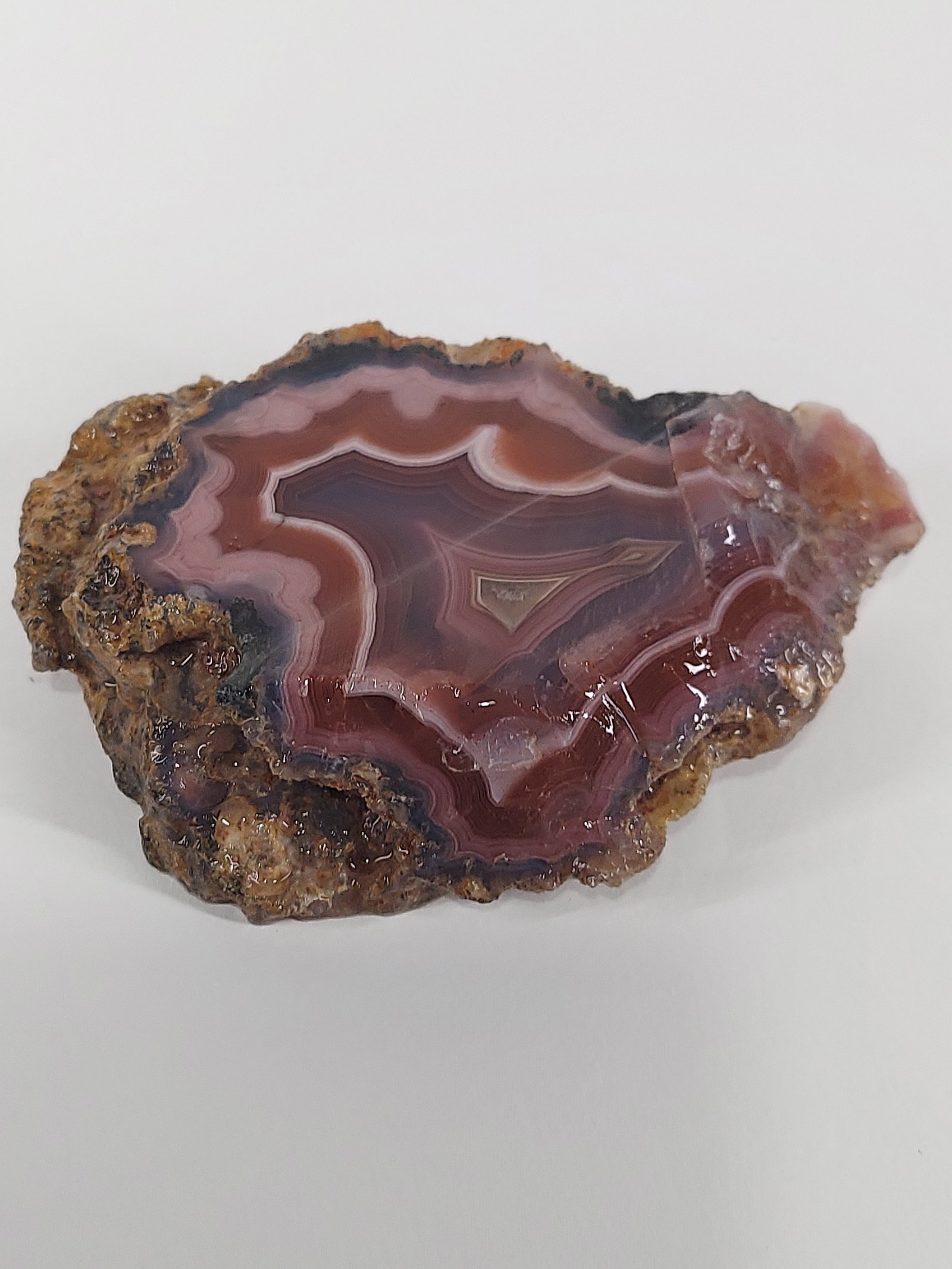 Pink Banded Agate: Pink Banded Agate – Unpolished Chunk A beautiful Pink Banded Agate chunk featuring natural layered banding in soft pink, mauve, reddish-brown, cream, and gray tones. The exposed face displays