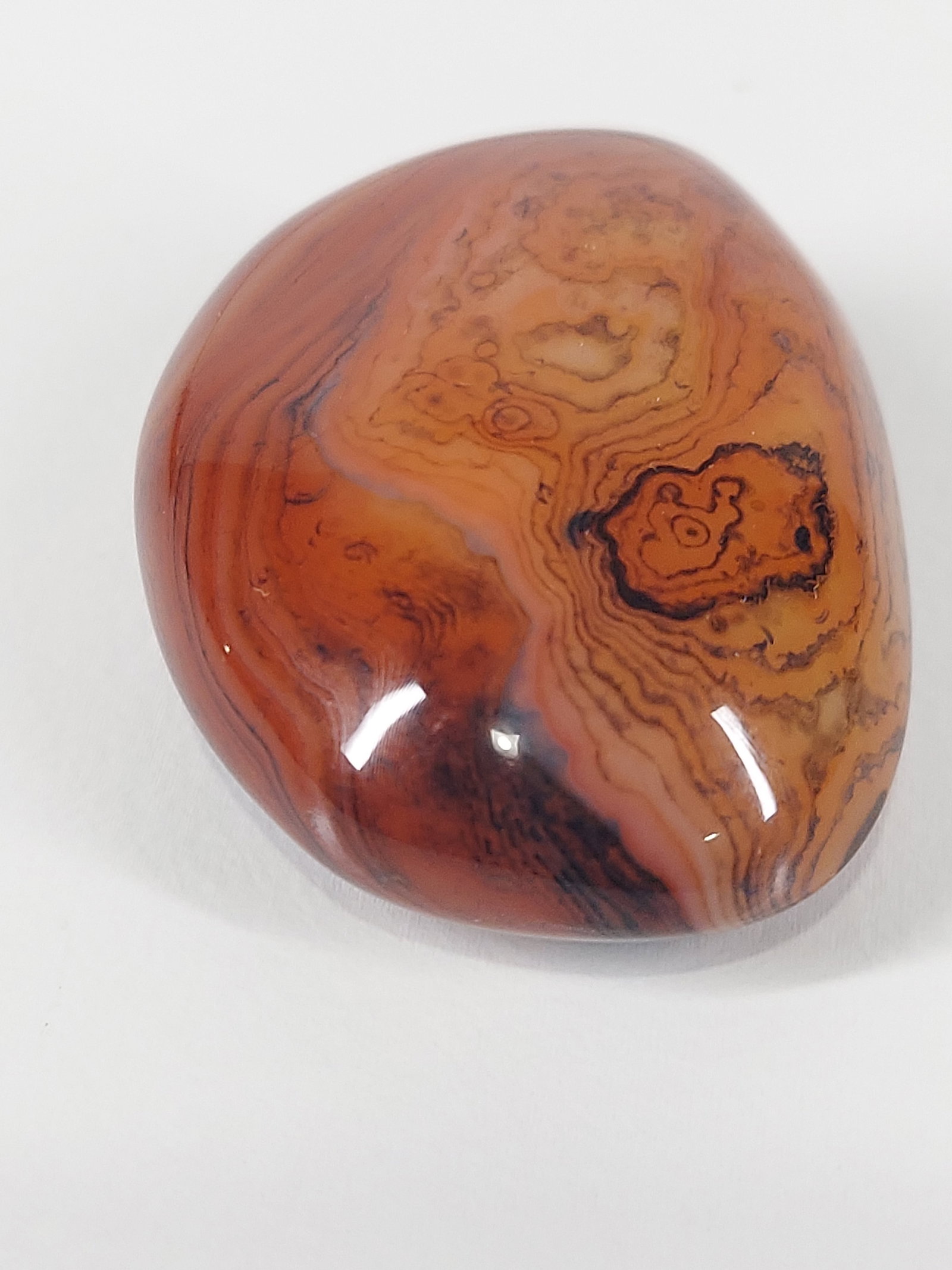 Madagascar Banded Agate: Madagascar Banded Agate – Polished Free Form A distinctive Madagascar Banded Agate free form featuring rich reddish-brown, rust, and dark brown coloration. The stone displays intricate natural