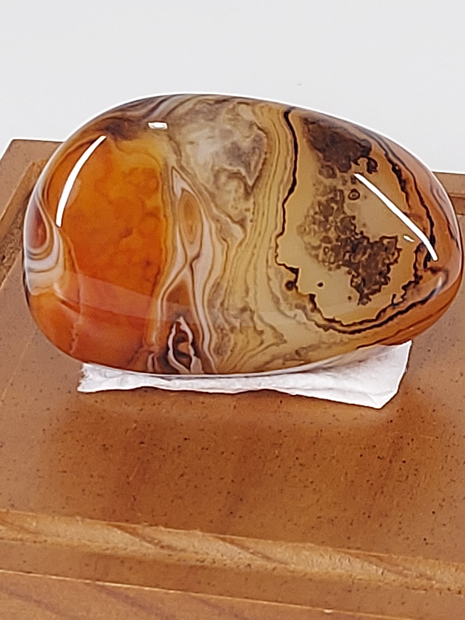 Madagascar Banded Agate: Madagascar Banded Agate – Polished Free Form A distinctive Madagascar Banded Agate free form featuring warm reddish-brown, golden tan, cream, and dark brown coloration. The stone displays intricate