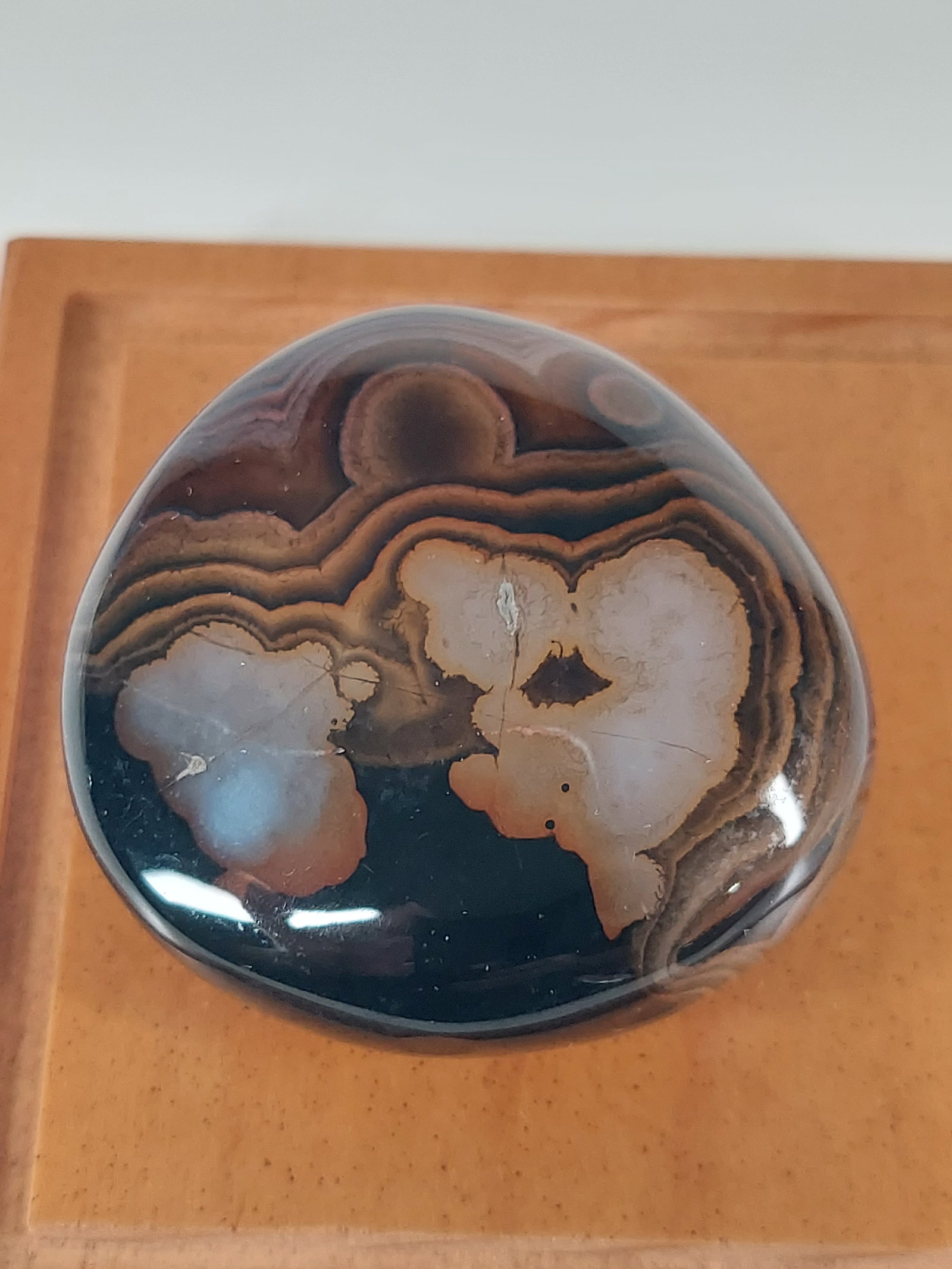 Madagascar Banded Agate: Madagascar Banded Agate – Polished Free Form A distinctive Madagascar Banded Agate free form featuring deep brown, charcoal-gray, cream, and earthy tan coloration. The stone displays flowing natural