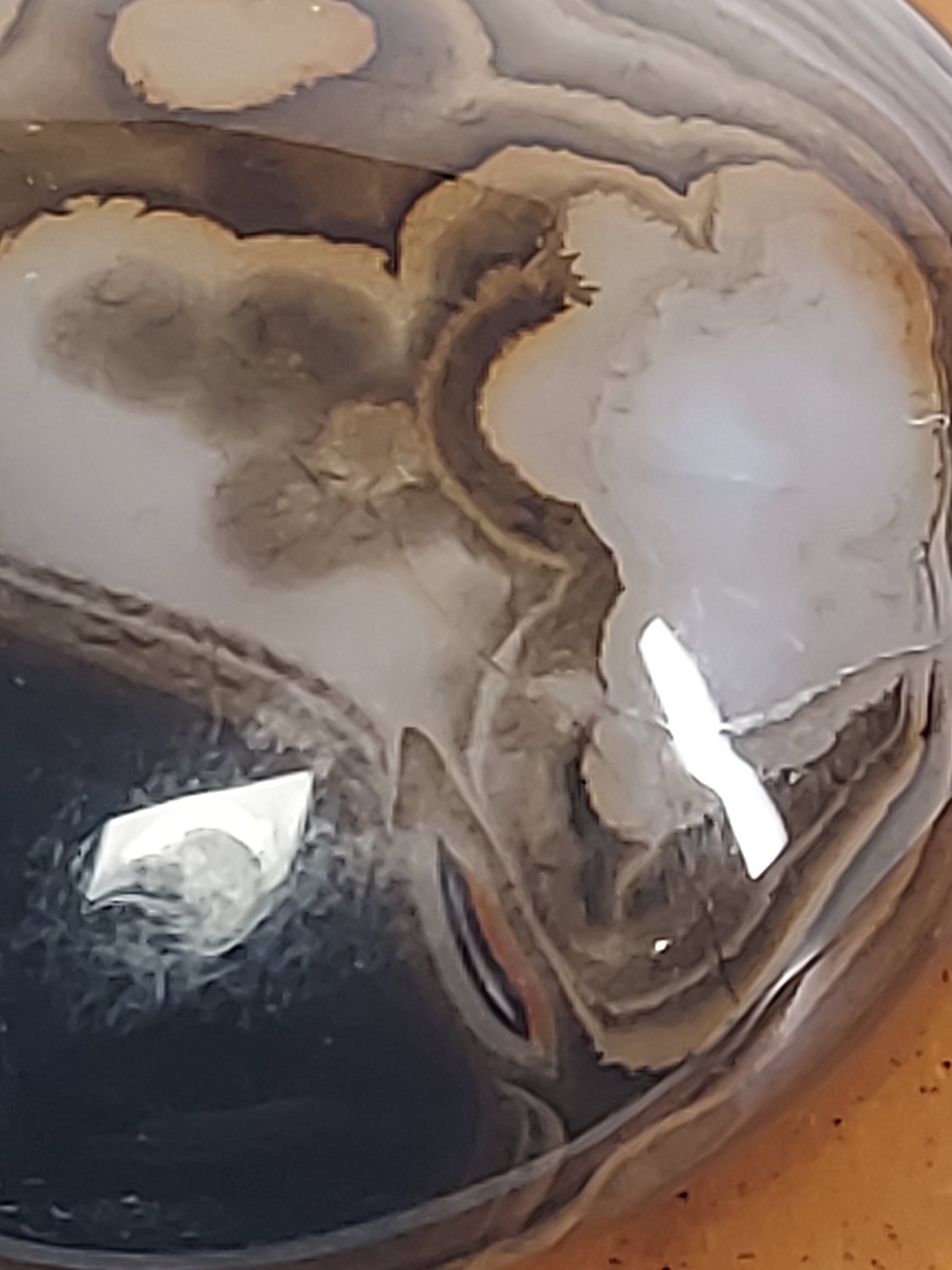 Madagascar Banded Agate - 5