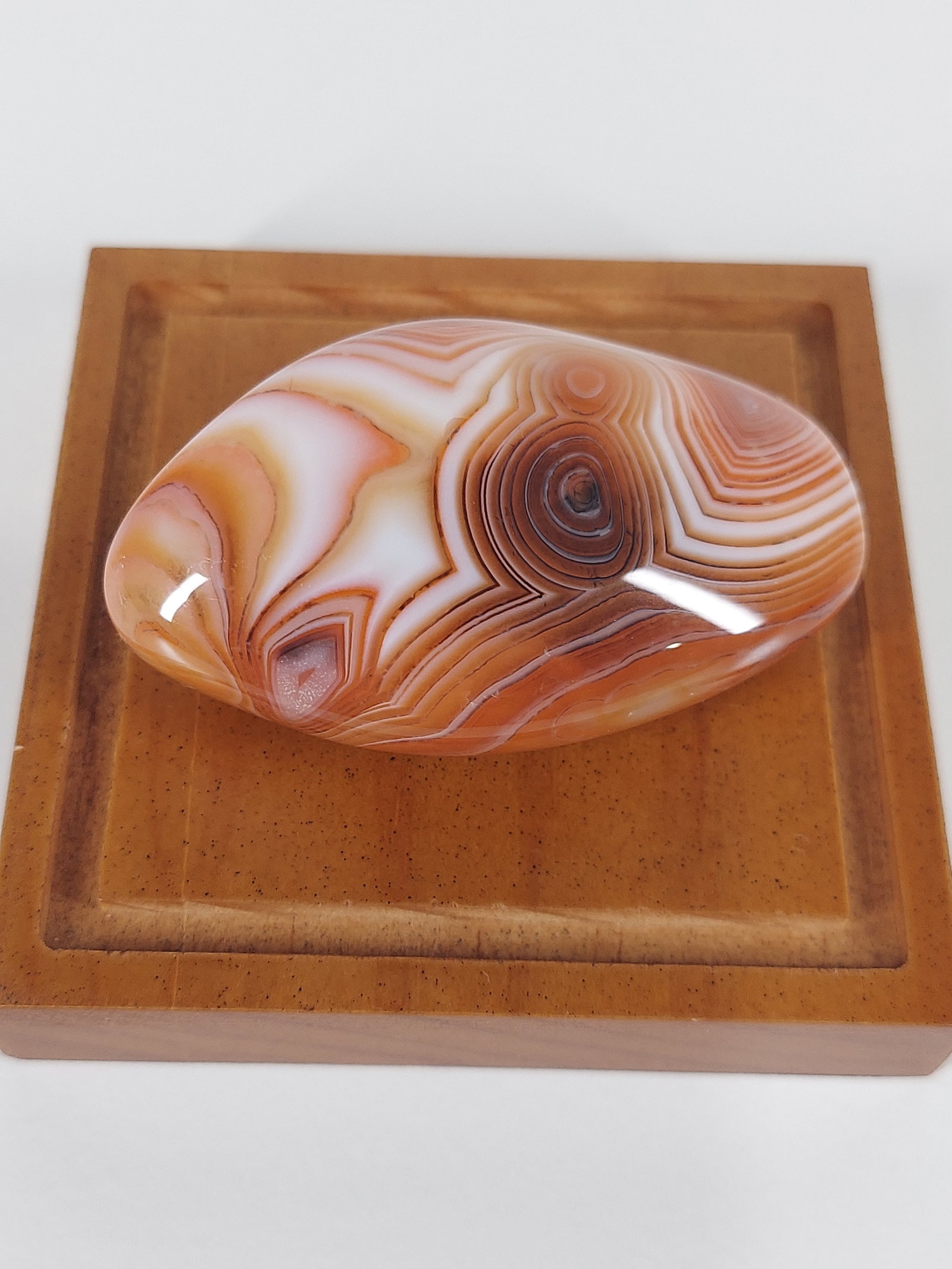 Madagascar Banded Agate: Madagascar Banded Agate – Polished Free Form A striking Madagascar Banded Agate free form featuring warm caramel, reddish-brown, cream, and white coloration. The stone displays exceptionally defined