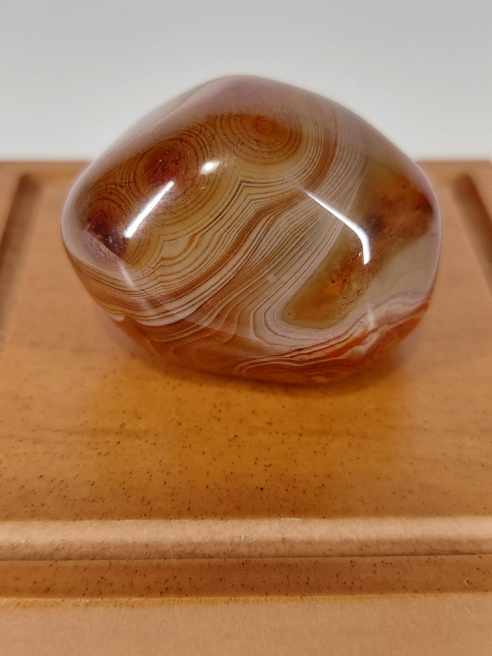 Madagascar Banded Agate: Madagascar Banded Agate – Polished Free Form A beautiful Madagascar Banded Agate free form featuring rich chocolate-brown, caramel, tan, and smoky earth tones. The stone displays subtle natural