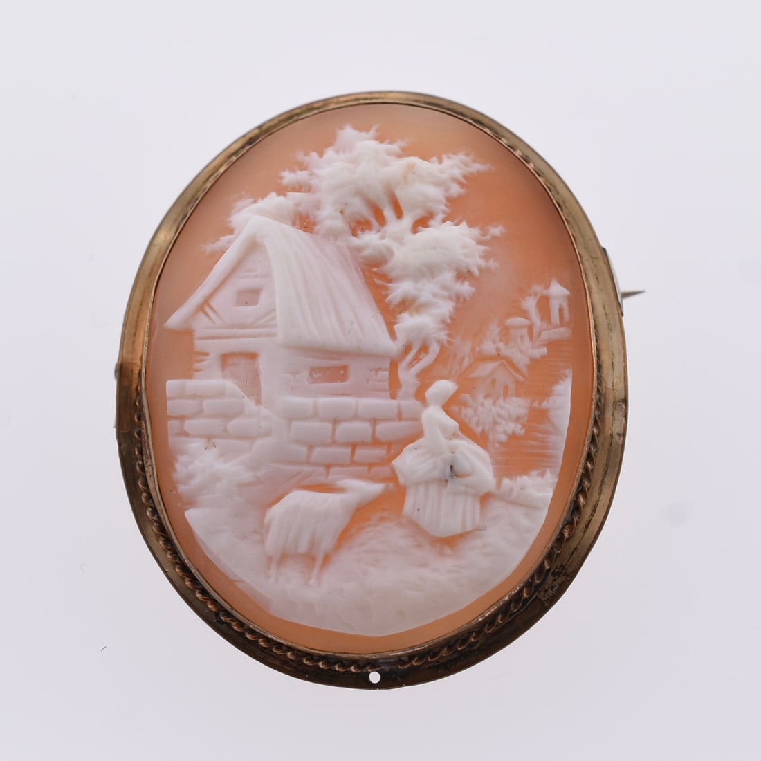 Antique Carved Cameo Brooch: Approximate Dimensions: 1 1/2" W x 1 3/4" T | Carved out of shell, appears to be signed verso.