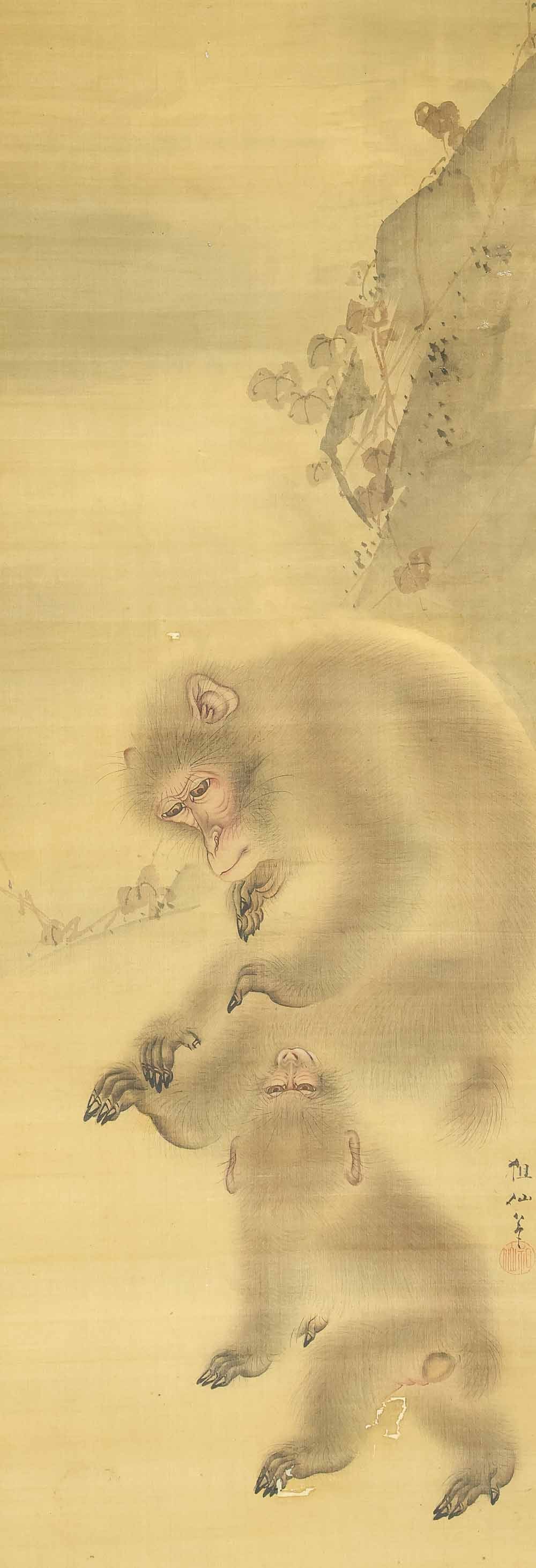Mori Sosen (1747-1821) Japanese Kakejiku Hanging Scroll / Monkey Mother and Child with Box - 4
