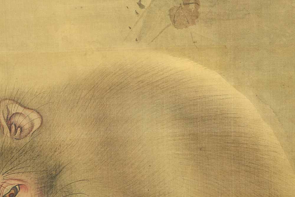 Mori Sosen (1747-1821) Japanese Kakejiku Hanging Scroll / Monkey Mother and Child with Box - 8