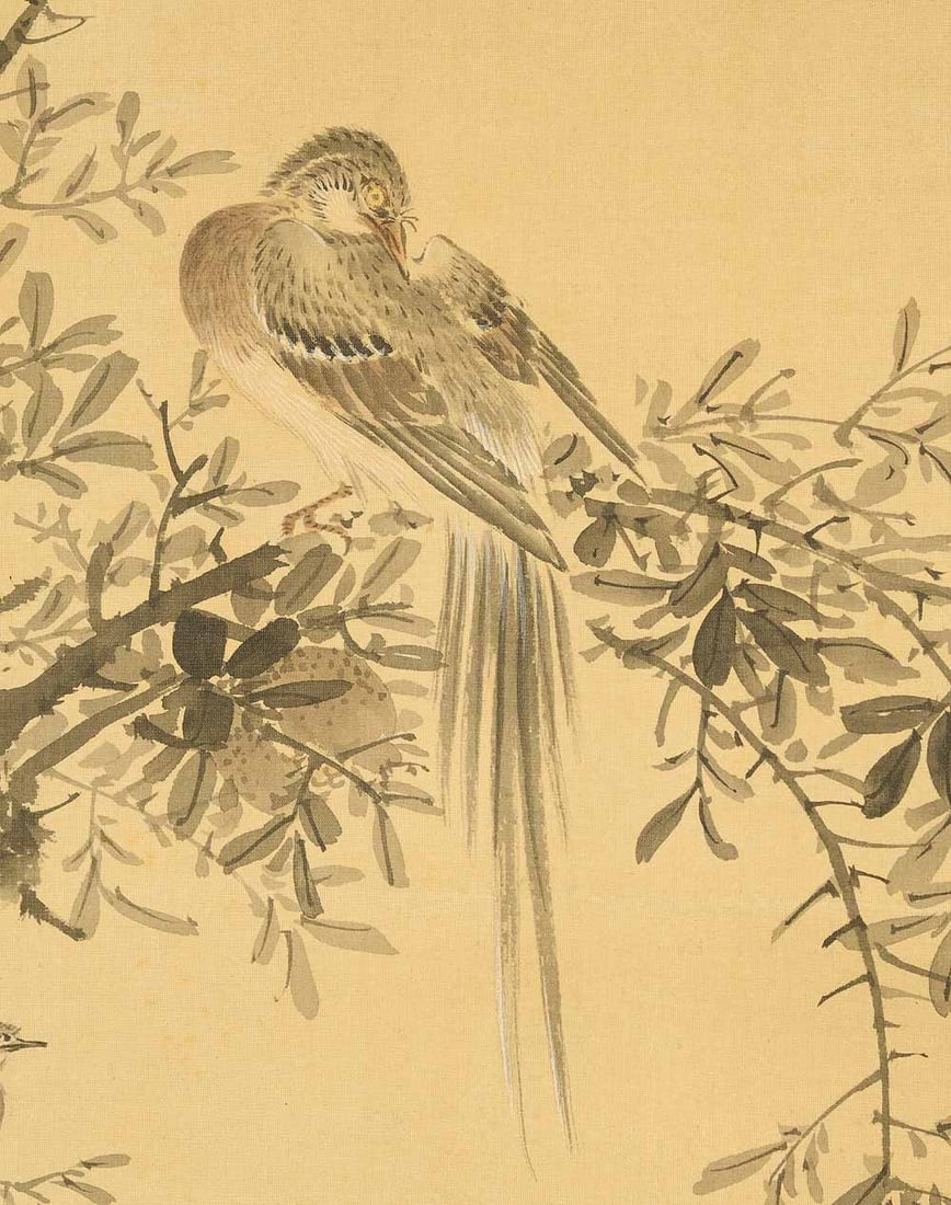 Nakabayashi Chikuto (1776-1853) Japanese Hanging Scroll Flowers and Birds with Box - 7