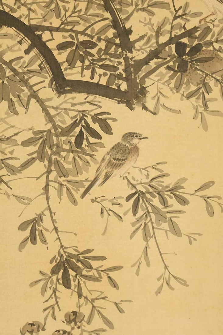 Nakabayashi Chikuto (1776-1853) Japanese Hanging Scroll Flowers and Birds with Box - 8