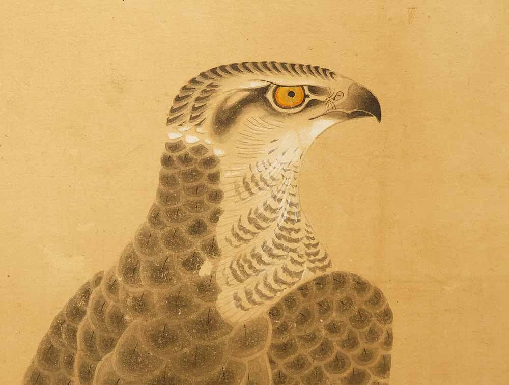 Ittei 'Six Hawks Perched on Gorgeous Perch' Six Panels Folding Screens Byobu Room Dividers - 5