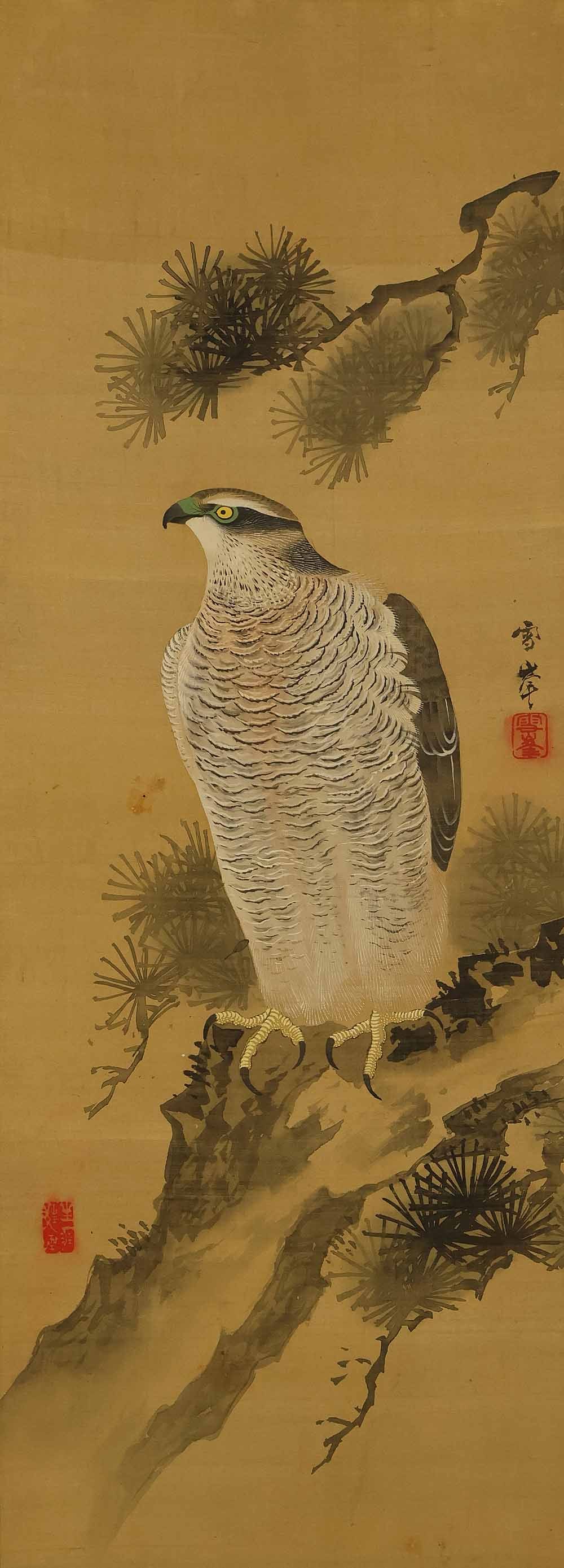 Seppo and Nanko 'Heron Camellia Hawk Cicadas' Six Panels Folding Screens Byobu Room Dividers - 8