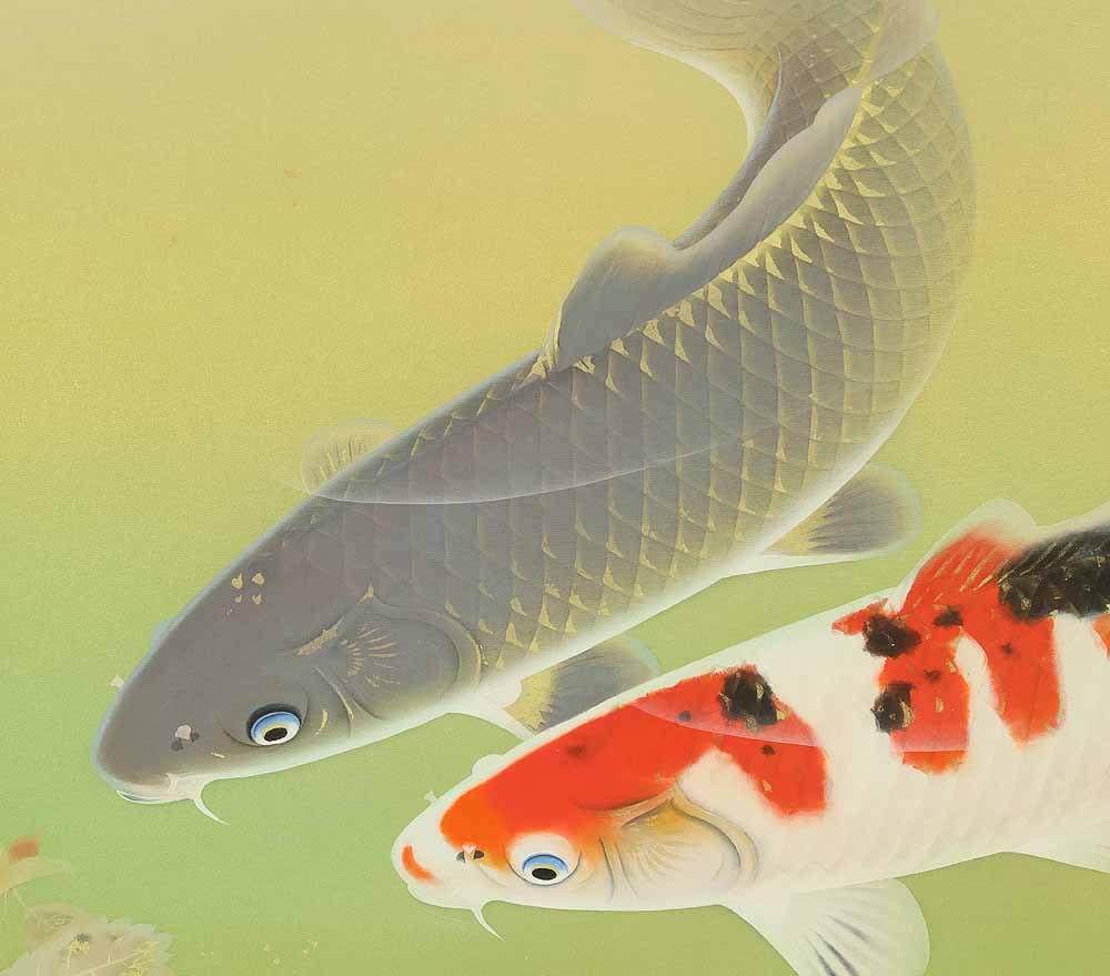 Ota Ryuichi (1915-1994) Japanese hanging scroll / Nishikigoi (Colored Carp) with Original Double Box - 6