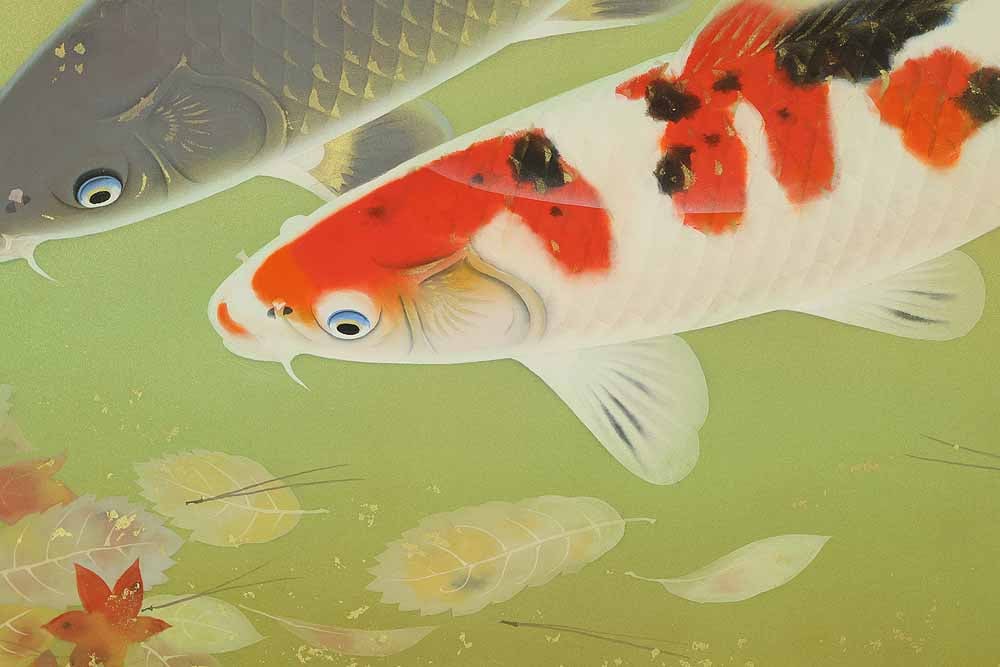 Ota Ryuichi (1915-1994) Japanese hanging scroll / Nishikigoi (Colored Carp) with Original Double Box - 9